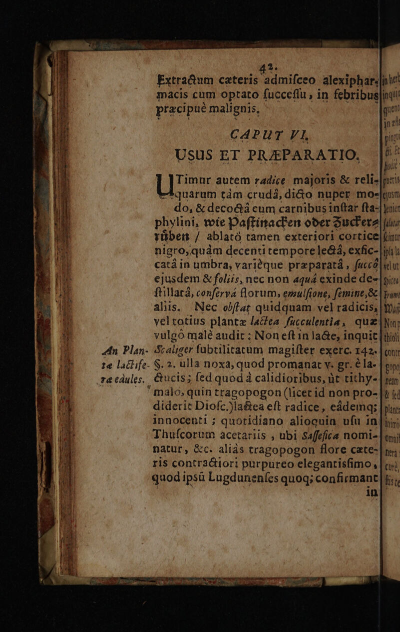 4?. CAPUT VI. Usus ET PRJPARATIO. LI autem radice majoris &amp; relisli putt quarum tàm crudá, dido nuper moe|gost do, &amp; deco&amp;tá cum carnibus inftar fta-| oic phylini, vote poftitad'en ober Sud'eta f fuua rüben / ablató tamen exteriori cortice (in: nigro;, quàm decenti tempore le&amp;á, exfic- iil catá in umbra, vari&amp;que preparatá, fucce |y ejusdem &amp; foliis, nec non aquá exinde de- pica ftillatà, confzrva florum, ezulfione, femine, bun aliis. Nec olftat quidquam vel radicis; |yj;j veltotius planta /a&amp;ea fucculentia , quz Non; vulgó malé audit ; Non eft in la&amp;e; inquic [nii 4n Plan- Staliger fübrilitacrum magifter exerc. 142- | ci 1e lactife- S. 2. ulla noxa, quod promanat v. gr. €la- gopo ra edules., &amp;ucis; fed quod à calidioribus, üt tithy- | rm malo. quin tragopogon (licer id non pro- |t i; dideric Diofc))la&amp;ea eft radice, eádemq; | py innocenti ; quotidiano alioquin ufu in [ii Thuícorum acetariis , ubi Saffefica nomi- | oyy patur, X&amp;c. aliás tragopogon flore cate-| m; ris contractiori purpureo elegantisfimo, |t: quod ipsü Lugduneníes quoq; confirmant |j; : inf