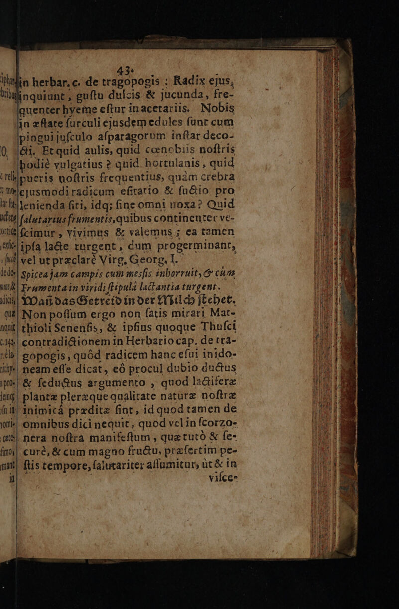 à e lhtlin herbar, c. de Uo MN ; Radix ejus, Xoginquiunt, guítu dulcis &amp; jucunda, fre- iquenter hyeme eftur inacerariis. Nobis ain zflare furculi ejusdem edules func cum pinguijufculo afparagorum inflar deco- Q. -j&amp;i. Et quid aulis, quid ccencbiis noftris llpodié vulgatius 2 quid. hortulanis , quid ;lpueris noftris frequentius, quàm crebra Im*ejusmodiradicum efitatio &amp; fu&amp;io pro tl lenienda fiti, idq; ine omni noxa? Quid dte falutarius frumentis,quibus continenzer ve- 0d fcimur , vivimus &amp; valemus ; ea tamen lc ipfa la&amp;e targent , dum progerminant, id) vel ut przclaré Virg, Georg, I. dede Spicta jam campis cuin mesfis znborruity ct cum WA Frumentain viridifHspula ladiantia turgent. i$! Y':Da1t oa5 Detreto in oer £T Tic j£ebet. qt Non poflum ergo non fatis mirari Mat- tit! thioli Senenfis, &amp; ipfius quoque Thufci :1M8| contradi&amp;ionem in Herbario cap. de tra- tl! gopogis, quód radicem hanc efui inido- ilj»| neam effe dicat, eó procul dubio ductus ipe &amp; fedu&amp;us argumento , quod laáiterz imy| plantz plerzque qualitate naturz noftrz fiif! 3nimicá przditz fint, id quod tamen de wn» omnibus dici nequit, quod velin fcorzo- ate nera noftra manifeftum , quz tutó &amp; fe- (mi| curé, &amp; cum magno fru&amp;u, prafertim pe- mit! ftis tempore, falutariter allumitur, üt &amp; in jl | | ——. vifce-