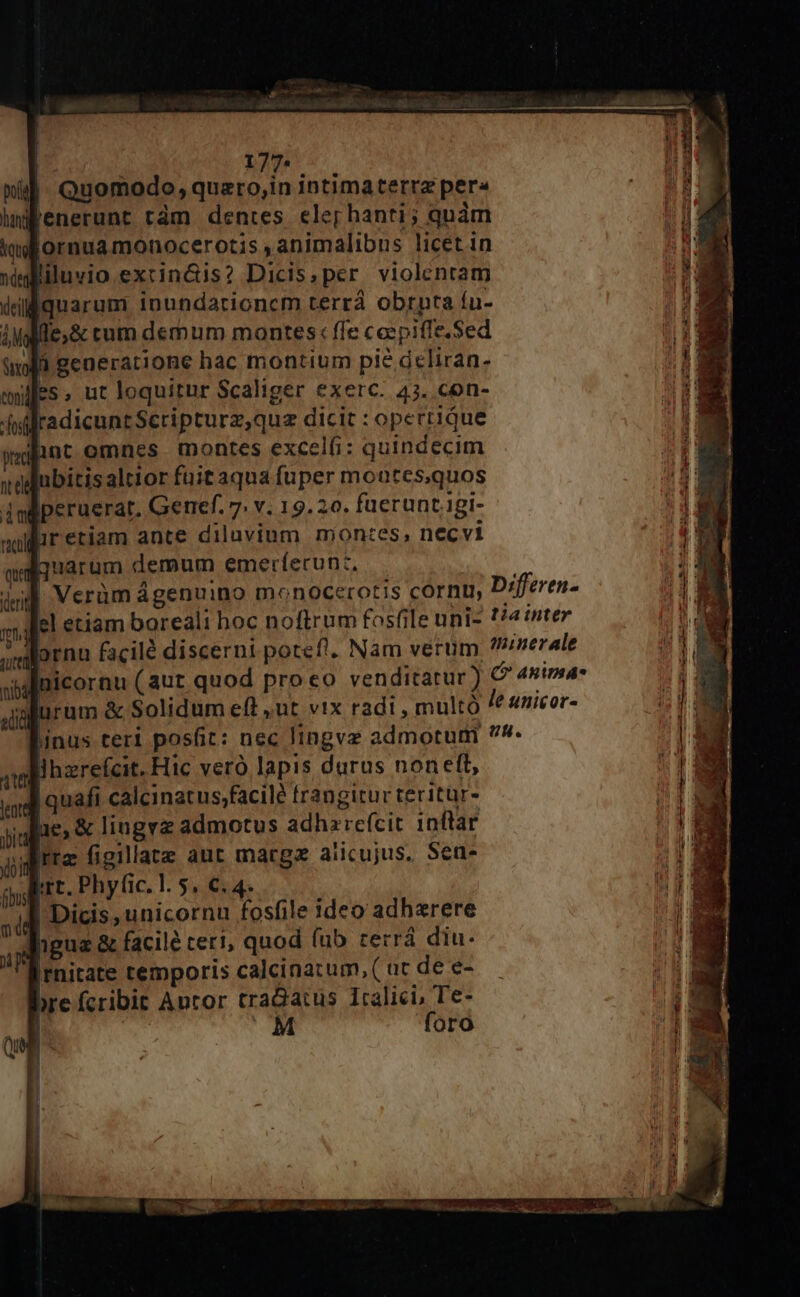 177: Quomodo, quaro,in intimaterrz per« f'enerunt rám dentes. ele hanti; quàm lornuamonocerotis ,animalibns licet in ubitisaltior füitaqua fuper moutes,quos -peruerat. Genef. 7: v. 19. 20. fuerunt.igi- lireriam ante diluvium montes, necvi auarum demum emerfecun:, | Verüm ágenuino monocerotis cornu, Differen- el etiam boreali hoc noftrum fosfile uni- ?/4 nter ; dornn facilé discerni potefl. Nam verum, ?»zerale sil (aut quod proeo venditatur) C 4sima- ix radi , multó le unicor- linus teri posit: nec lingvz admotum ^ Bhzrefcit. Hic vero lapis durus nonett, quafi calcinatus;facile frangitur teritur- Jue, &amp; lingvz admotus adhzrefcit inftar Arr figillatz aut margz aiicujus. Sen- ^r. Phy fic. l. 5. €. 4. Dicis, unicornu fosfile ideo adherere qigua &amp; facile ceri, quod fub cerrá diu. Irnitate temporis calcinatum, ( uc de e- »re fcribit Autor traGatus Italici, Te- | UM foro E 4 ^ : 7 AL LR. RP —À RIP DA