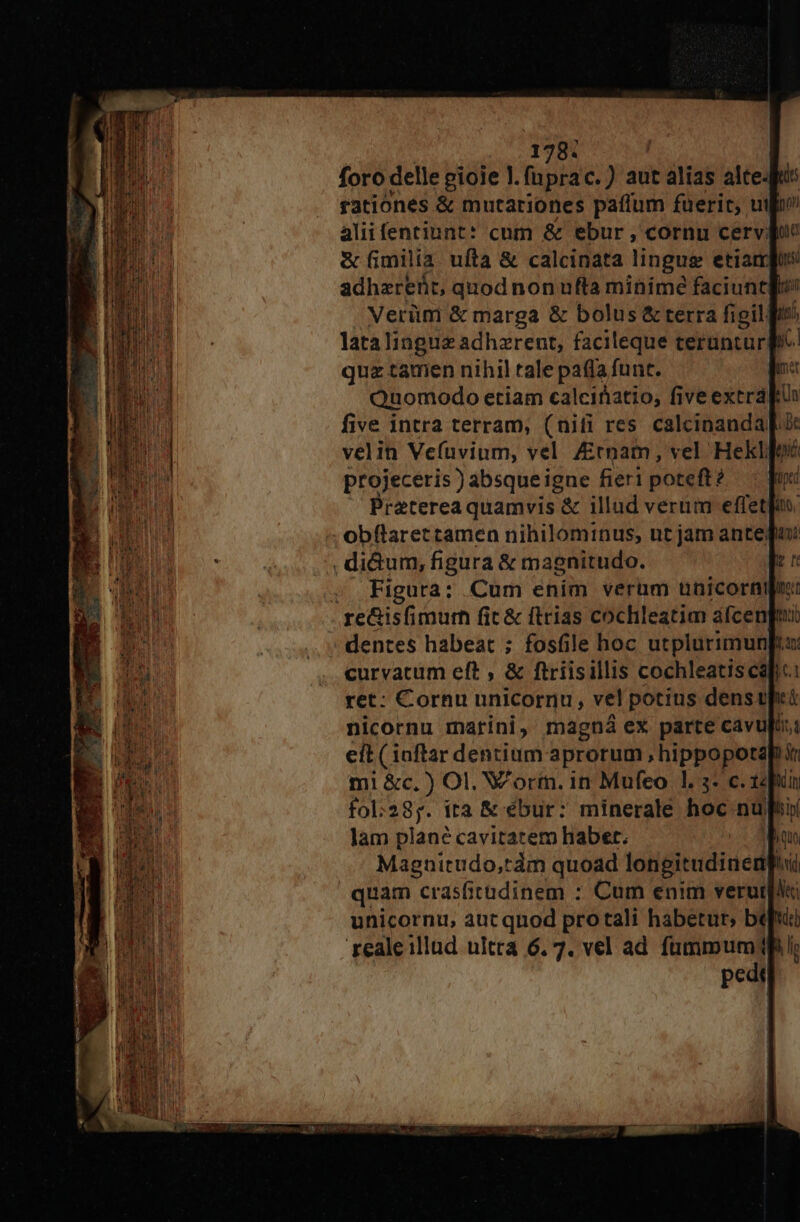 foro delle pioie l. fiipra c. ) aut alias altes rationes &amp; mutationes paffum fueric, uio? aliifentiunt* cum &amp; ebur , cornu cervo &amp; fimilia uftà &amp; calcinata lingue etiam adharerit, quod non ufta minime faciunt Verüm &amp; marga &amp; bolus &amp; terra figil. latalingue adhzrent, facileque teruntur P^ quz tamen nihil tale pafla funt. Quomodo etiam calcifiatio, fiveextrá five intra terram, (niti res calcinandap velin Vefuvium, vel tnam, vel. HekI ni projeceris ) absqueigne fieri poteft? ?Pratereaquamvis &amp; illud verum effetpoo. obflaret camen nihilominus, ut jam ante: , di&amp;um, figura &amp; magnitudo. ;. Figura: Cum enim verum uüicornp re&amp;isfimum fit &amp; ftrias cochleatim afcenpuu dentes habeat ; fosfile hoc utplurimun[ta: curvatum eft , &amp; ftriisillis cochleatis calci ret: Cornu unicornu , vel potius dens pet nicornu marini, magná ex parte cavufi: eft ( ioftar dentium aprorum ; hippopot mi &amp;c. ) Ol. V ortn. 1n Mufeo |l. 3- c. 14 pii fol:287. ita &amp; ébur: minerale hoc nui lam plane cavitatem habet. Magnitudo,tám quoad longitudinem ur quam crasfitudinem : Cum enim verum unicornu, aut quod protali habetur; bep reale illad ultra 6. 7. vel ad fummum1h! pedt