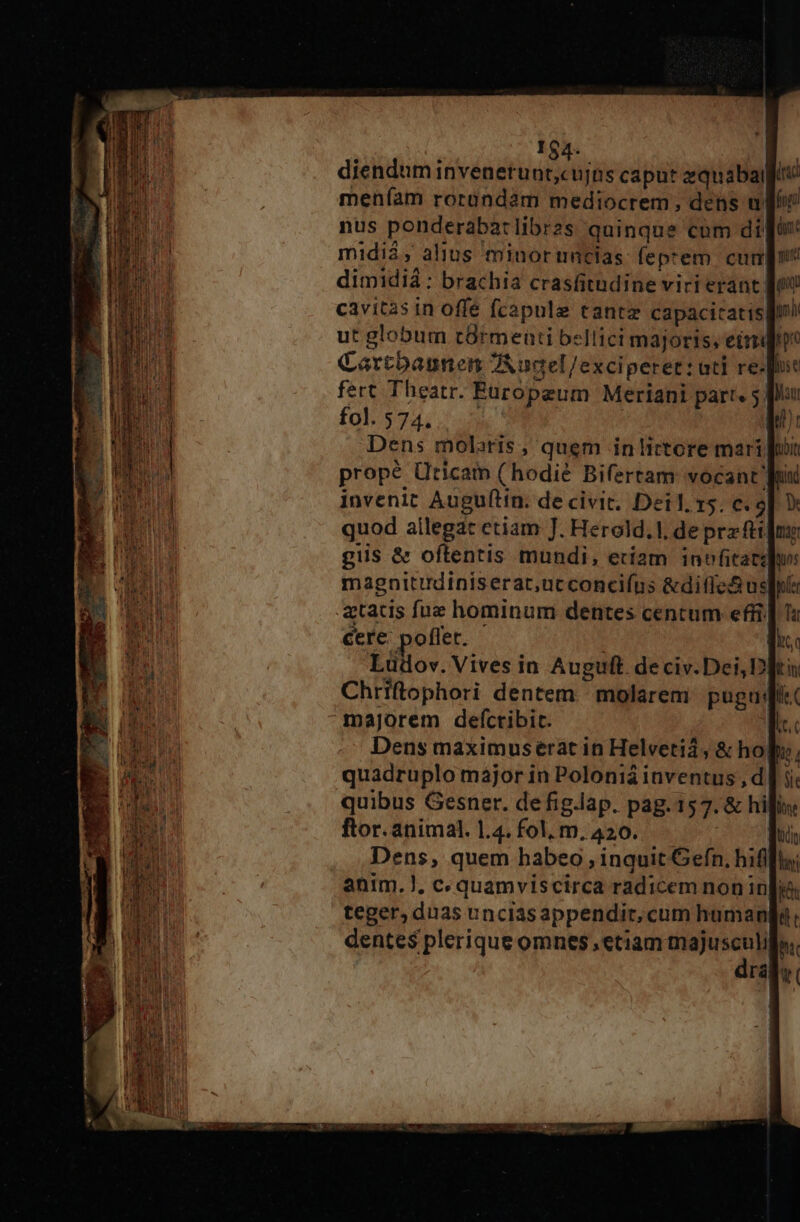 í I$4-. E. diendum inveaetunt,cujts caput zquabaqgfic meníam rotundam mediocrem, dens ud nus ponderabatlibrzs quinque cum dii midi$, alius minoruncias: feprem. cum dimidiá: brachia crasfitudine viri erant: cavit2s in offe fcapule tantz capacicatispl ut globum t8rmenti bellici majoris, eimi Cartbaunen JAurel/exciperet: uti re- fert Theatr. Eüuropeum Meriani part. 5 fiu folsg4;. e ur Dens molaris, quem inlictore marii propé Uticam (hodié Bifertam vocant fuu invenit Augufttn. de civit. Dei. x5. c. 9| D quod allegat ctiam J. Herold.l, de pra ftt]nz: giis &amp; oftentis mundi, eciam invfitarg]o: magnitirdiniserat,ucconciíns &amp;difles usps ztacis fuz hominum dentes centum effi] 1: cere. poflet. di. Lüdov. Vives in Auguft. deciv.Dei,D]tu Chriftophori dentem molarem pugudi« majorem defcribit. Dens maximuserat in Helvetii, &amp; hol: quadruplo májor in Poloniá inventus , d
