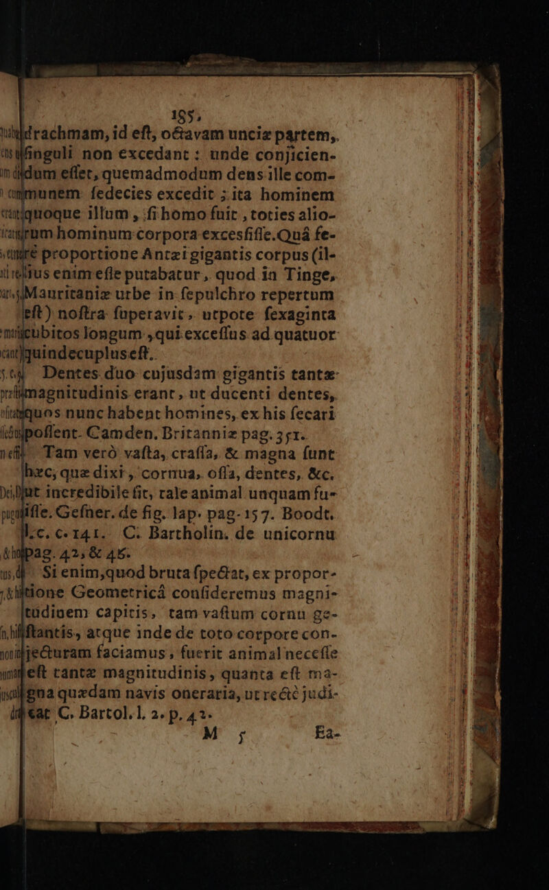 185; id rachmam, id eft, octavam unciz partem,. ar finguli non excedant : unde conjicien- dum eflet, quemadmodum dens ille com- unem- fedecies excedit ;.ita hominem iquoque illum , ;fihomo fuit , toties alio- «imm hominum. corpora excesfific.Quá fe- j re pora Anret gigantis corpus M | anritaniz urbe in (bpülchro repertum eft) noftra: fuperavit. utpote fexaginta mieubitos longum ,qui exceffus ad. quatuor. a«)guindecupluseft.. ;*4 Dentes duo cujusdam gigantis tante imagnitudinis. erant, ut ducenti dentes, ittiquos nunc Psp homines, ex his fecari Tam vero vafta, craffa, &amp; magna (unt Jhc;que dixi, cornua, offa, dentes, &amp;c. t incredibile fit; raleanimal unquam fu- ifte Gefner. de fig. lap. pag- 15 7. Boodt. Mc. c- 141... C. Bartholin. de unicornu