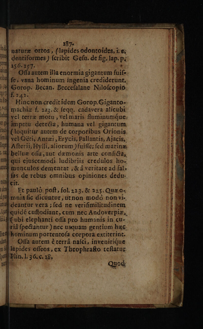 187» | nature ortos; (lapides odontoides, i. e; | denriformes) (cribit Gefn. de fig. lap. p: ' Oflaautem illa enormia gigantum hic. fe; vana hominum ingenia crediderunt, Gorop. Becan. Beccefalane Nilofcopió h242. | Hincnoncreditidem Gorop.Giganto- machiz f, 2253. &amp; feqq. cadavera alicubi d vel terre motu , vel maris fluminumque. ! dmpetu. dere&amp;a, humana vel. gigantum. 4 (loquitür autem de corporibus Orionis. | vel.Oéti Ant: , Erycis, Pallantis, AJacis, Afterii; Hylli, aliorum )fuific; fed marin bellue ofía,aut dzmonis arte confi&amp;ia, |qui ejuscemodi.ludibriis credulos ho- 1 munculos dementat , &amp; á veritate ad fal. | fas de rebus omnibus opiniones. dedu-- cit. Et paulo. poft, fol. 223. &amp; 225. Que o« mnia fic dicüntur, utnon modó non vi- !$ deantur vera ;fed ne verifimilitudinem Wl quidé cuftodiant, cnm. nec Andoverpiz,, AA ubi elephanti offa pro humanis in.cu- rià fpe&amp;antur ) nec usquam gentium hac. |hominum portentofa corpora extiterint. Ofla autem é terrá. naíci, invenirique iM lapides offeos, ex Theophrafto teflatuz