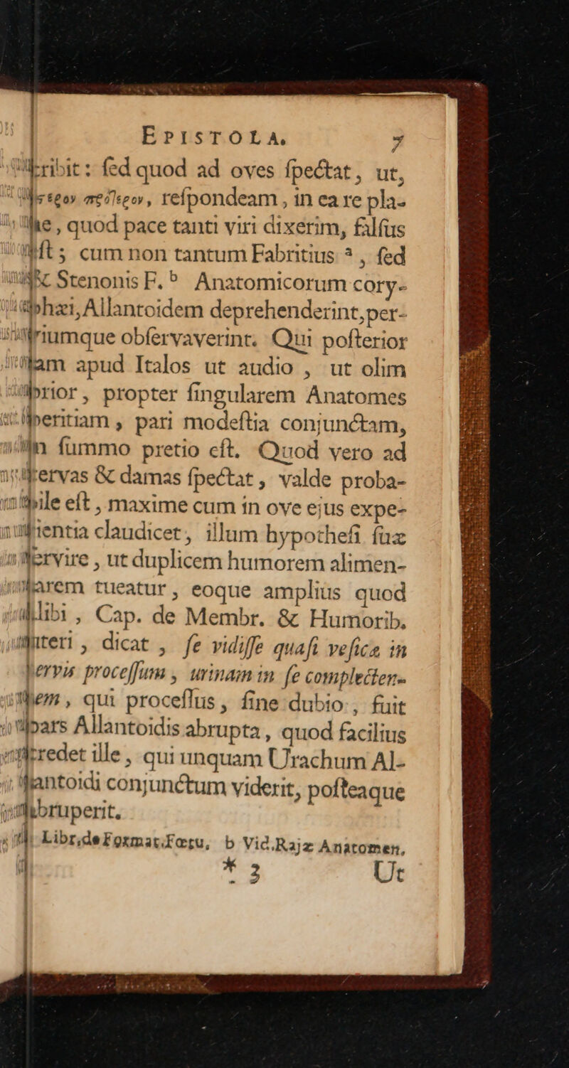 | | EPISTOLA, 7 Wribit: fed quod ad oves fpe&amp;at, ut, eseos atio, refpondeam , in ea re pla- lie , quod pace tanti viri dixerim, filfus ts cum non tantum Fabritius ? , fed USC Stenonis F. ^^ Anatomicorum cory- phai, Allantoidem deprehenderint,per- sinmnumque obfervaverint. Qui pofterior itam apud Italos ut audio , ut olim rior, propter fingularem Anatomes 5: Üiperitiam , pari modeftia conjunctam, /ln fummo pretio cft. Quod vero ad ifervas &amp; damas fpectat , valde proba- 15'bile eft , maxime cum in ove eius expe- usfentia claudicer, illum hypothefi fuz Wervire , ut duplicem humorem alimen- wWarem tueatur, eoque ampliüs quod Mibi, Cap. de Membr. &amp;: Humorib. uteri, dicat , fe vidiffe quaf. vefica, in pervis. proceffum , urinam in. fe complecten- iem, qui proceffus, fine dubio, fuit àtlbars Allantoidis abrupta, quod facilius ^flkredet ille , qui unquam Urachum AL- lfiantoidi conjunctum viderit, pofteaque i'm bruperit. : |  il Libr,deFormat.fatu, b Vid.Rajz Anatomern, j T Ut