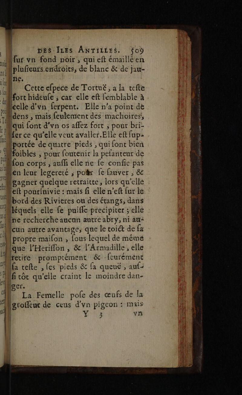 | DÈS ÎLES ANTILLES. fo Mur vn fond noir ; qui eft émaillé en 4 Iplufieurs endroits, de blanc &amp; de jau- 1 a fl | Cette efpece de Tortué, a la tefte aifort hideufe ; car elle eft femblable à Micclle d’vn ferpent. Elle n’a point de Mdens , mais feulement des machoires! iqui font d’vn os affez fort ; pour bri- fe ler ce qu'elle veut avaller.Elle eft fup&gt; Iportée de quatre pieds , qui fonc bien oibles ; pour foutenir la pelanteur de {on corps , aufli elle ne fe confie pas Men leur legereté ; poikr fe fauver , &amp;e n pagnes quelque retraitte , lors qu'elle 4 jet pourfuivie : mais fi elle n’eft fur le ‘4 Ibord des Rivieres ou des étangs, dans “Méquels elle fe puiffe precipiter ; elle Mine recherche aucun autre abry, ni au: Mcün autre avantage, que le toiét de fa ‘| (propre mailon , fous lequel de mémé y que l'Heriflon , &amp; l’Armadille , elle ù fecire promptément &amp; -feuréméene Ma tefte , fes pieds &amp; fa queué , auf- j f tôt qu’elle craint Le moindre dan- Mocr. ‘Me La Femelle pole des œnfs de la |groffur de ceus d'vn pigeon : mais LE L‘é 3 vr