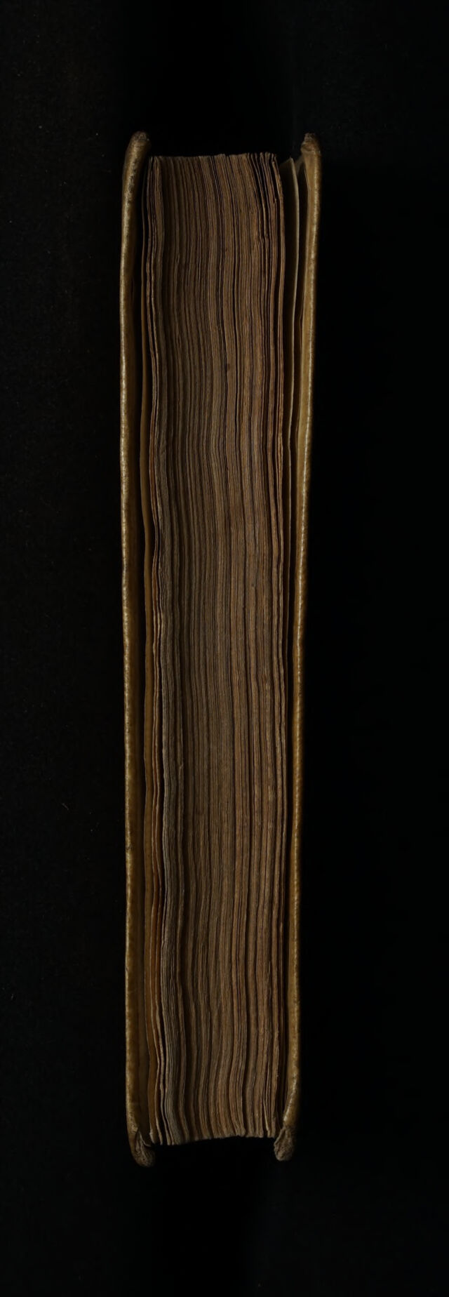 digitised image 3