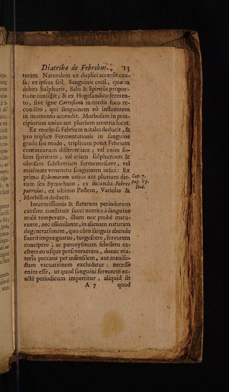 imi dfpo- le n jv) puituor imefal. fuga rtaette Diatriba de Febribus., | 13 teram. Naturalem ex dupliciaccerfit cau- fa: exipfius fcil. Sanguinis crafi, quz in debita Sulphuris, Salis &amp; Spiritüs propor- tione confiflit ; &amp; ex Hogelandico fermen- to, five igne Czrtefizmà in cordis foco re- condito , qui fanguinem eÓ influentem in momento accendit. Morbofam in prin- cipiorum uniusaut plurium ametria locat. Ex morbofà Febrium natales deducit , &amp; pro triplice Fermentationis in. fanguine gradu feu modo , triplicem ponit Febrium continuarum differentiam ; vel enim fo- lum fpiritum , vel etiam. fulphuream &amp; oleofam fubftantia fermenteícere, vel miafmate venenato fanguinem infici: Ex primo Epbemeram unius aut plurium die- Ce?-7- rum feu Synochum , ex fecundo. Febres Cu. putridas, ex ultimo Peftem, Variolas &amp; ; Intermiffionis &amp; ftatarum periodorum càufam conftituit fucci nutriti à fanguine malé temperato, illum nec probé matu- rante , nec affimilante ,in alienam naturam degenerationem , quo cum fanguis abunde fueritimprzgnatus , turgefcere , fervorem concipere ; ac paroxyfímum febrilem ex- citere eo ufque períeverantem , donec ma- teria peccans per infenfilem , aut manife- ftam vacuationem excludatur : necefle enim effe, ut quod fanguini fervorem ex- acte periodicum impertitur , aliquid fit