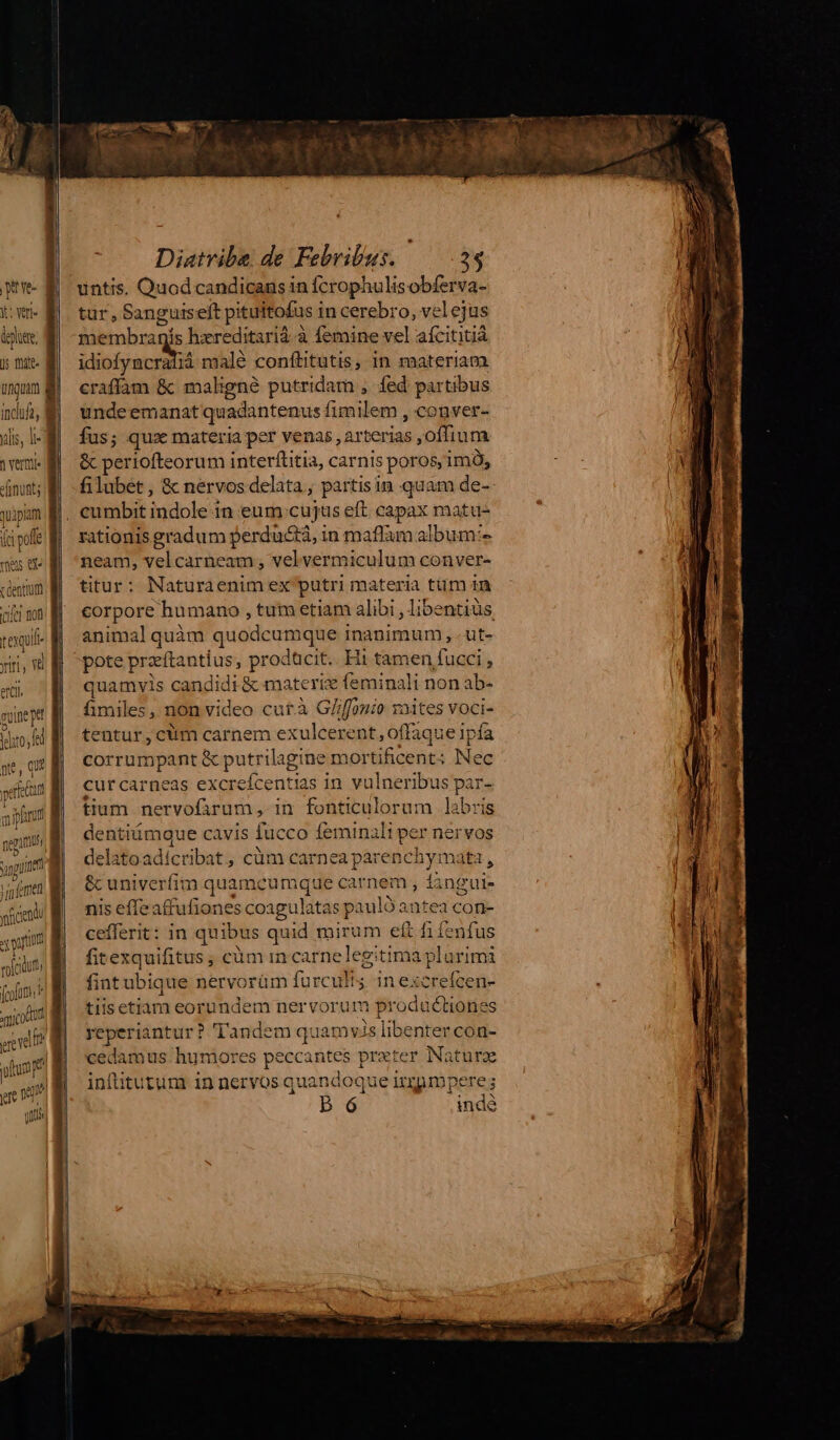 i: Wr depone, y; mitt- tuam lis, li- 1 vertu -f nunt; qua ipia am mes ere c dentium (cifcr nof teuit- yiri, Y8 ercil m ime jut ito, ed nte, qui pefttun prit negamus n ip nen pitt rofcidu?! mico pe «e fr uus pre 067^ utt Diatvibe de Febrilus. 25 untis. Quod candicans in fcrophulisobferva- tur, Sanguiselt pituitofus i in cerebro, velejus jáetobragi s hzreditarià.à femine vel afcititià sif race malé conftitutis, in materiam craffam & maligné putridarn , fed partibus unde emanat quadantenus fimilem , conver- fus; quz materia per venas , ar terias ,offium & periofteorum interftitia, carnis poros, im, filubet , & nervos delata, partis in quam de- rationis gradum perductà, in maffum album:- neam, velcarneam , velvermiculum conver- titur: Naturaenim ex putri materia tüm in corpore hu mano , tum etiam alibi , libentius animal quàm quodcumque i inanimum , -ut- pote przeftantius, proc dücit.. Hi tamen fucci , quamvis candidi & mat eriz feminali non ab- fimiles, non video curà G//ffonio raites voci- tentur , cuim carnem exulcerent , offaque ipía corrumpant & putrilagine mortificent: Nec cur carneas poiéhtid in vulneribus par- tium ne ervofarum , in fonticulorum labris dentiümque cavis fucco (eminali per nervos del. 3fo.adí« tibat, cüm carnea parenchymata, & univerfim quamcumque carnem , £. ingul- nis effe affufiones coagulatas p paulóantea con- cefferit: in quibus quid mirum ett fi fenfus fitexquifitus, càm in carnelegitima plurimi fint ubique nervorüm furculis inexereícen- tiis etiam eorundem nervorum productiones reperiantur? Tandem quamvis libenter con- cedamus humores popcaue preter Naturz inftitutum in nervos quandoque irgnmpere s