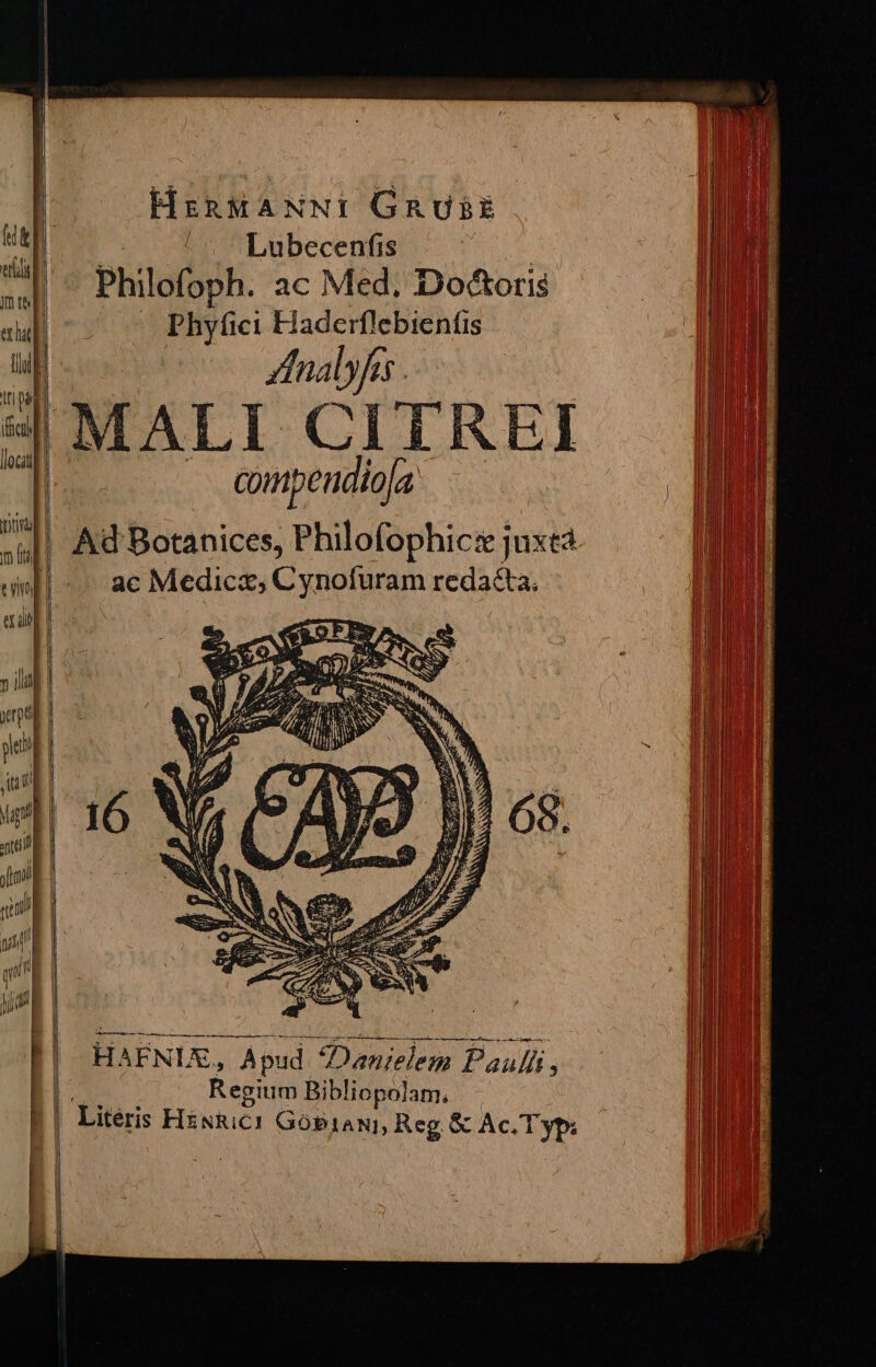 c HrnMANNI GRURE Lubecenfis Philofoph. ac Med, Doétoris — Phyfici Haderflebienfis ZdInalyfs compendiofa. Ad Botanices, Philofophic:se juxta ac Medica, Cynofuram redacta. bm HÀ —Ó HAENIX, Apud Danielem Pauli, Regium Bibliopolam.