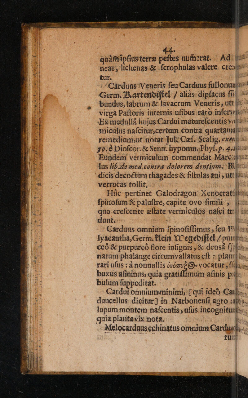 e quàmipfiusterrz peftes numerat. | Ad. E. neds, lichenas &amp; .fcrophulas valere eres tur. | por» 'Cárduus Veneris feu Carduns fallonuyl: p Gern JAartenoifleL / alias: dipfacus fri (^ bundus, labrum &amp; lavacrum Veneris , utt ji: virga Paftoris internis ufibus raro inferwis ii Ex medullá hujus Cardui maturefcentis vito: miculus naícitur,certum contra quattgnien kn remediam;ut notat [ult Caf. Scalig. exer 35?.e Diofcor.&amp; Seni. hypomn.Pbyf. p. gab ül Eundem vermiculum commendat Marcii lus lb.de med.contra dolorem dentium. 4 de Vn verrucas tollit, p Hüic pertinet Galodragon Xenberatilbis it fpiniofum &amp; paluftre; capite ovo fimili ; Bis quo.crefcente afláte vermiculos nafci ttr 3x dunt. | ih Carduus omnium apes ffi mugsdeh Pu lyacantha,Germ. Pleir Yt egebificl / vnl nt ceó &amp; purpurcó flore infignis ;&amp; densá fjr. narum phalange cireumvallatus eft :- plamj ij, rari ufus : à nonnullis ovózu£G vocatur ; f/f buxus afininus; quia gratilfr mum afinis po; bulum fuppeditat. | TM Cardui omniumminimi, [qui ideb Call... duncellus dicitur] in. Narbonenfi agro. T UM lupum montem nafcentis , ufus IRSE TM quia plantavix nota. Melocarduus echinatus omnium Cardgid...