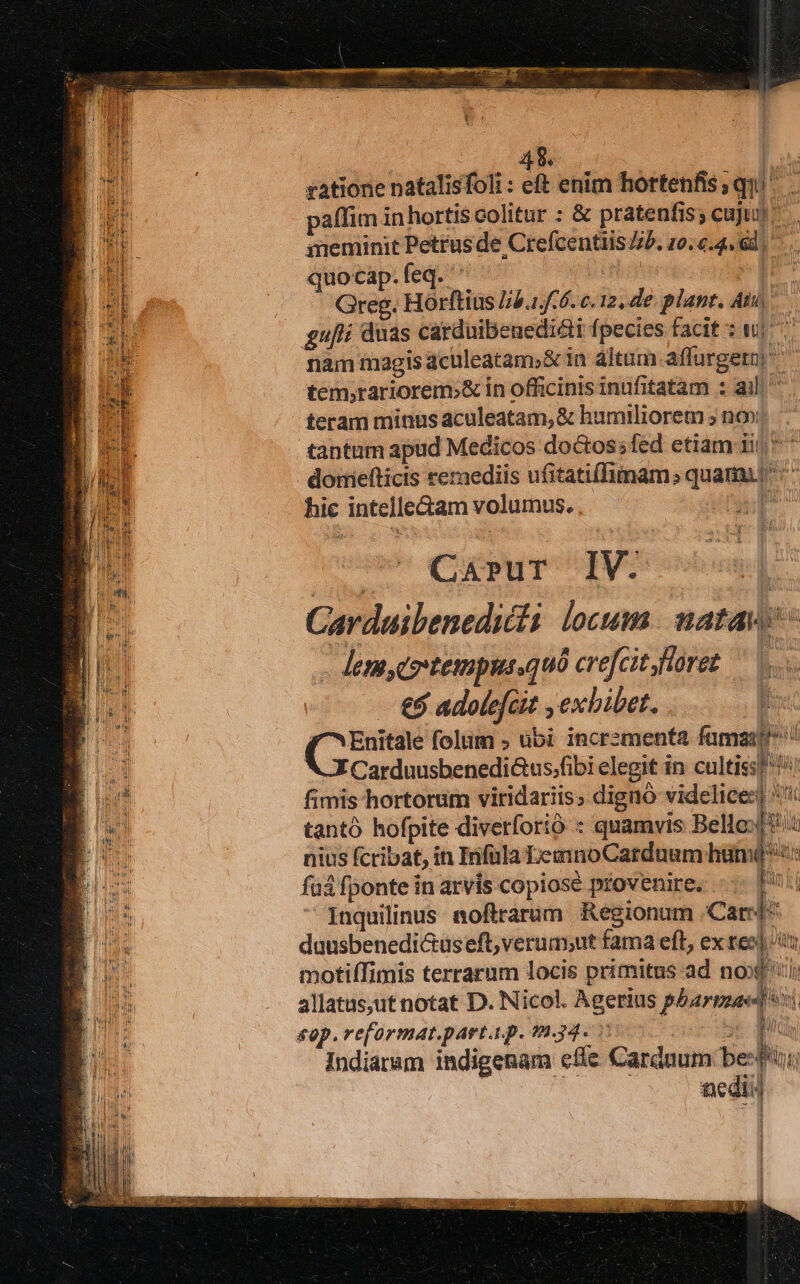 - fiiio: l—— | | 49. | gatione natalisfoli : eft enim hottenfis qq. paffim inhortiscolitur : &amp; pratenfis; cuju], smeminit Petrusde CrefcentiisZzb. 10.6.4. ed. quocap.feq. ^ 1 Greg. Hórftius //5.1./6. c. 12, de. plant. Ati, nam magis aculeatam;&amp; in altum affurgetn tem,rariorem»&amp; in officinis inufitatam : ail. tantum apud Medicos do&amp;tos;fed etiam 1i ^ domiefticis ternediis ufitatiffimam; quami hic intelletam volumus. , Vna P u CepuT TIVA Carduibenedicis. locum. natas - eme tenpus.quó crefcit floret ^. — e$ adolefüit exbibet, | Enitale folum » übi incrementa fuma XX Carduusbenedi&amp;us.fibi elegit in cultis! ii fimis hortorum viridariis, dignó videlice:| *'': tantó hofpite diverforió : quamvis Bello: nius (cribat, in Infula LemnoCarduum hünm( fu fponte in arvis copiose provenire. -.- [7i Inquilinus noftrarim Regionum Card: duusbenedi&amp;useft;verum;ut fama eft, ex teo] tt ) motiíimis terrarum locis primitus ad noxii; ON IW ] 1 allatas,ut notat D. Nicol. Agerius pharmasd si sop. ve[ormat.part.a.p. 9.34. 5e d Indiarám indigenam cffe Carduum be:ft, L— tnedii.