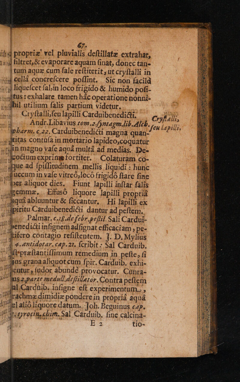 | €. * ild propriz' vel pluvialis deftillatz extrahat, iü l filtret,&amp; evaporare aquam (inat, donec tan- | tum aquz cum fale reftitetit , ut cryftalli in iij cellá concrefcere poffint. Sic non facild 5 (y liquefcet fabin loco frigido &amp; humido pofi- (sgftus : exhalare tamen hác operatione nonni- jfi] utilium falis partium videtur. n imd - Cryftallifeulapilli Carduibenedidii. Coyf alis, wil Andr.Libavius zom.2./)ntagm.lib. Alcb. fen Lepills, dphbarm. 22. Carduibenedici magna quan- — ditas contuía in mortario lapideo;coquatur »iicn magno vafe aquá multá ad medias. De- |, decoctum exprimg fortiter. . Colaturam co- ique. ad fpiffitudinem: mellis liquidi : hunc uj uccum in vafe vitreó;locó frigidó ftare fine 1, aliquot dies. Fiunt lapilli inflar falis dpemmz, Effusó liquore lapilli propria 1B i ftqua abluuntur &amp; ficcantur, Hi lapilli ex u Carduibenedi&amp;i dantur ad peflem. x. Palmar. c.1$.4e febr. pefil. Sali Cardui- 7, J»enedi&amp;i infignem adfignat efficaciam , pe- qrifero coritagio refiftentem. T. D, Mylius p feamtidotar. cap. 21. fcribit : Sal Carduib. Jt*preftantiffimum remedium in pefle, fi jas granaaliquot cum fpir. Carduib. exhi- Tentur , íudor abundé provocatur. Cünra- dr grociu, chim. Sal Carduib. fine calcina- H3 tio-