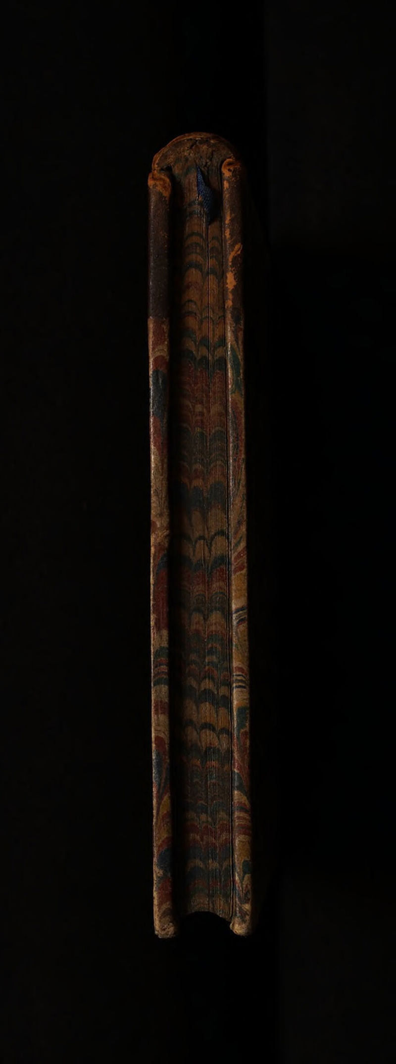 No text description is available for this image