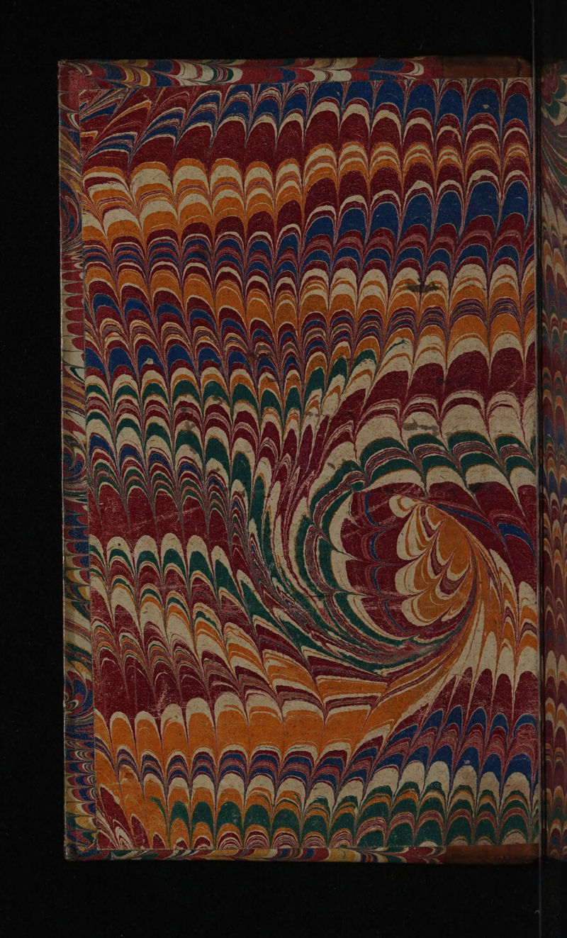 No text description is available for this image