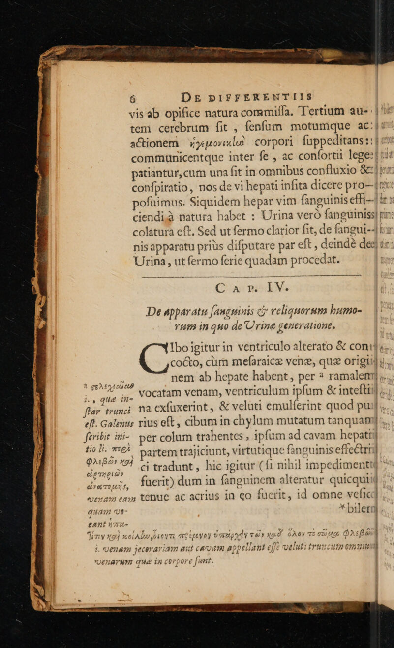 vis ab opifice natura commiffa. Tertium au- | ': tem cerebrum fit , fenfüm motumque ac:|: actionem 4 ovwzlo corpori fuppeditans::] cv: communicentque inter fe , ac confortii lege: t: patiantur, cum una fit in omnibus confluxio &amp;:] rii confpiratio, nos de vi hepati infita dicere pro-- [m pofüimus. Siquidem hepar vim fanguinis effi-.| int ciendi.à natura babet : Urina veró fanguiniss] ru colatura eft. Sed ut fermo clarior fit, de fangui--] lir nis apparatu priüs difputare par eft , deinde deg] tina Urina , ut fermo ferie quadam procedat. De apparatu [angtinis cy reliquorum bumo- YHIB in quo de rine generatione. Iboigitur in ventriculo alterato &amp; coni c. cocto, cüm mefaraice venz, qua origisl ».. Ue nem ab hepate habent, per ? ramalemj Vid 7,. Vocatam venam, ventriculum ipfum &amp; inteftii] flar trunci na exfüxerint, &amp; veluti emulferint quod pui] ,.. efl. Gales rius eft , cibum in chylum mutatum tanquan feribit imi- per colum trahentes , ipfum ad cavam hepati Rip emen partem trajiciunt, virtutique fanguinis effectrn eoa ci tradunt, hic igitur (f1 nihil impedimenti ^ fuerit) dum in fanguinem alteratur quicquid ;  eC Y 672 145; f. 72 16; f, £ tam enm tenue ac acrius in eo fuerit, id omne vefic v 4.13 : * X Malos auasn oo- * Dileti Á ean V7ic- e! . 1 y iy 74 21 t ' y Ln Yp V. 1 ^ i hizy 18 X 6L ADAS,OE0V'TO TT epeyoy D upo iV Ty xoco G6 '10 C20 0 CAStPS ; Ue L ^a; m 5 uf ^57);7 5h 77^ jj of]? 712]. I: fg 0700793 02212121] $&amp;. 7 5877 1£c97 AVIMOa aut caozgm 8Ppeuam €]Jj€ Ue. AM ULITRTZICUIL O22 EE | o V4 5 im fhAwhAvo Io? U£HATWL oe 1 cov pore juni.