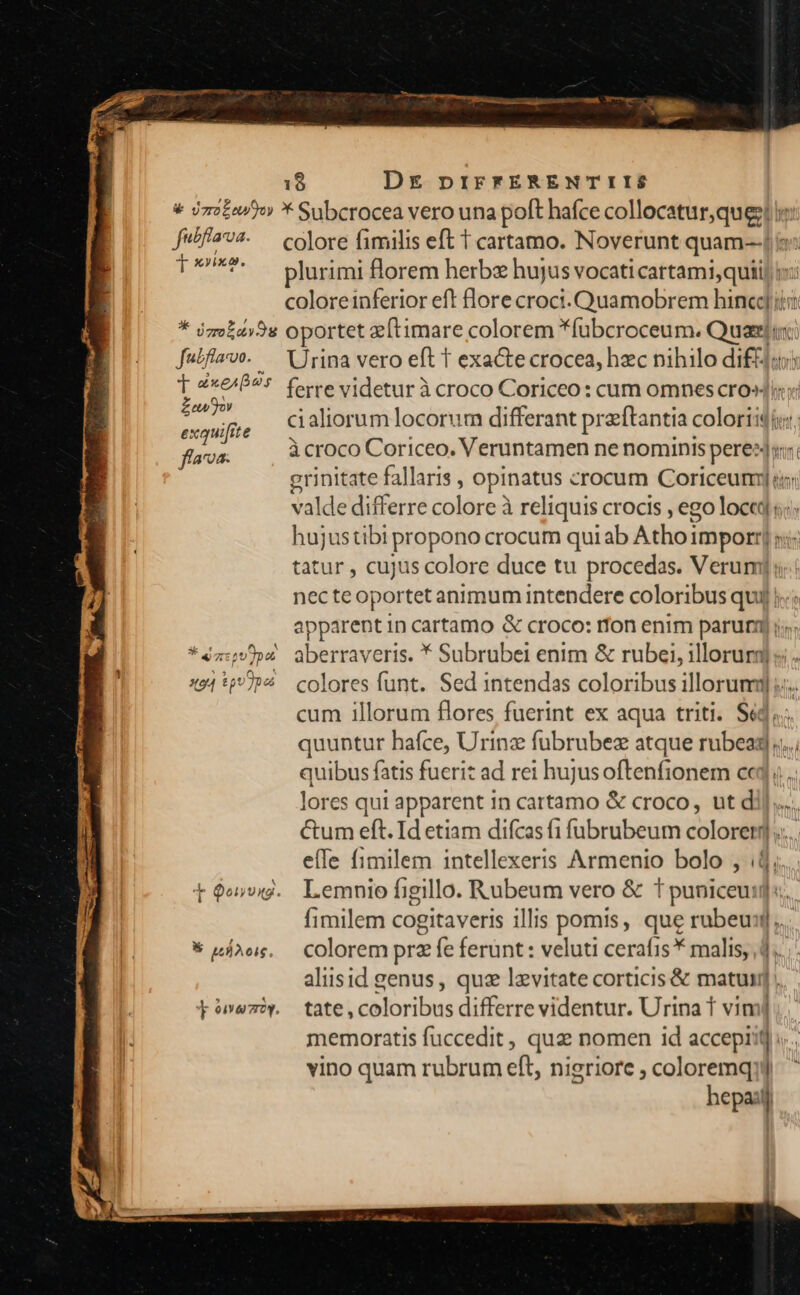 futfaroa. T XJixo. * jzrozay9g fat flavvo. T zx«e^g 9f Zewfyov exqui[ite ffava. e X Ed T ^ 1 4:0 pa fr, «94 tp9 Jpo » pois. coloreinferior eft flore croci. Quamobrem hined iji oportet z[timare colorem *fubcroceum. ca Urina vero eft T exacte crocea, hzc nihilo dif ferre videtur à croco Coriceo : cum omnes cro»4 cialiorum locorum differant praftantia colori: (i: àcroco Coriceo. Veruntamen ne nominis ol jon. il) valde differre colore à reliquis crocis , ego loced s hujustibi propono crocum qui ab Athoi imporr] y: tatur , cujus colore duce tu procedas. Verum]: apparentincartamo &amp; croco: rfon enim parum i; cum illorum flores fuerint ex aqua triti. Sed; quibus fatis fuerit ad rei hujusoftenfionem ced. lores qui apparent in cartamo &amp; croco, ut dij... e(Te fimilem intellexeris Armenio bolo , (4j, Lemnio figillo. Rubeum vero &amp; t puniceuij« fimilem cogitaveris illis pomis, que rubeuj,. aliisid genus, quz levitate corticis &amp; matumnj , tate , coloribus differre videntur. Urina T vim vino quam rubrum eft, nigriore , coloremq;j hepail