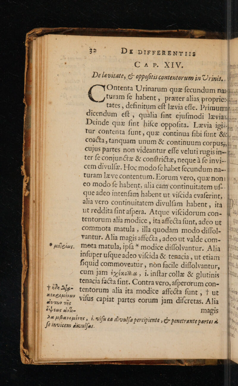 (C AP. XT? De levitate, e£ oppofitis contentorum in Urinit, ,! Ontenta Urinarum quz fecundum nass... A /Gram fe habent , preter alias propriexfi. tates , definitum eft lzvia effe. Primumnp.; dicendum eft , qualia fint ejufmodi leviai].... Dcinde que fint hifce oppofita. Lzvia igiij. tur contenta funt, quz continua fibi fünt &amp;d, coacta , tanquam unum &amp; continuum corpussj. ... cujus partes non videantur effe veluti rugis in--[.. ter fe conjun&amp;z &amp; conflricte, neque à fe invi-- cem divulfz. Hoc modo fe habet fecundum na--| turam leve contentum. Eorum vero, quz noni eo modo fe habent, alia eam continuitatem uf... | que adeo intenfam habent ut vifcida evaferint, [) alia vero continuitatem divulfm habent, ita IJ ut reddita fint afpera. Atque vifcidorum con-. &amp; tentorum alia modice , ita affecta fünt, adeo ut : commota matula , illa quodam modo diffol- ['* vantur. Alia magisaffecta ;adeo ut valde com-. | *&amp;see; metamatula, ipfa * modice diffolvantur. Alia [^ infüper ufque adeo vifcida &amp; tenacia ,utetiam [lu fiquid commoveatur , non facile diffolvantur, cum jam £éyéxox.o , i. inftar colla &amp; olutinis tenacia facta fint. Contra vero, afperorum con- | Hn AMe- tentorum alia ita modice affe&amp;a funt , t ut. 1» zou n^ Vifus capiat partes eorum Jam difcretas. Alia «€U77 726 . i epeue civi EE 2e pBavontrze , i.sifuea divulfa percipiente , C penetrante partes — 1^ Je imvicem dsuul[ns