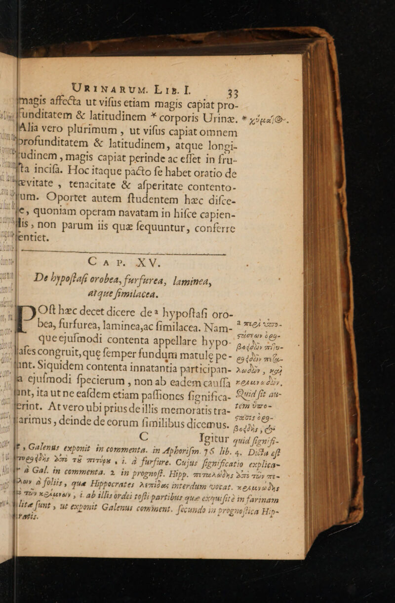 [magis affc&amp;ta ut vifus etiam magis capiat pro- (s fFunditatem &amp; latitudinem * corporis Urinz. lAlia vero plurimum , ut vifus capiat omnem profunditatem &amp; latitudinem, atque lonpi- ^frudinem , magis capiat perinde ac effet in fru- ta incifa. Hoc Itaque pacto fe habet oratio de Mevitate , tenacitate &amp; afperitate contento- Jum. Oportet autem ftudentem hzc difce- le, quoniam Operam navatam in hifce capien- Mis; non parum iis quz fequuntur, conferre Wentiet. 4 ( m. LU P DP ET C A eo S E De bypoflafi orobea, favfuvea, laminea, atque fimilacea. M. ) Oft hzc decet dicere de* hypoftafi oro- s , 1 : n? T 3 WIOA ^75. M bea, furfurea, laminea;ac fimilacea. Nam- EA eis | queejuímodi contenta appellare hypo: Bad» zlu- - Ld X i d , ef lafes congruit, que femper fundumi matule Pe - eo125. ui lunt. Siquidem contenta innatantia participan- A425» , xo a cjuimodi fpecierum ; non ab eadem cauffa z&amp;x«»s2x», | 1 EG ale Gd ub lant, 1ta ut ne eafdem etiam paffiones fienifica- Xtd fet au s ; ; p 24À I6 vo- Ierint. Atveroubi prius deillis memoratis tra- ^ * : : - die o 4 20207. gl e, f'arimus , deinde de eorum fimilibus dicemus. 2,4 C Igitur quig ffe nfi- dt Galenus exponit 1n commenta. in Apborifm. 35. lib. 4. Dicla ef? ! Y » . / 1  Y 2 « - ,. qmeeodons 28 TE 7-:f;8 , i. 2 furfure. Cujus fignificatio explica-  TTUÀWÀÓM$ BLU - Aa a foliis , que Hippocrates AsTüules interdum votat. X £AtLy 0 OA$ II? 72» xcauye , Lab tllisordei tofli partibus que exeruifaut lite funt , ut exon (^ |^ 7 » 1532 042 | ye» e fn udi 2 I 05H11 Galeni £0? 7J)ent. L1 4Hao T, r0g?0 ét Hi f^ J 4 42 ) Á lira. 2 Gal. tn commenta. 2 in prognofz. Hipp. einfarimam