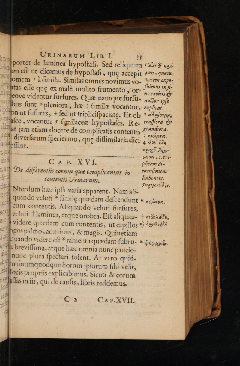 ]portet de laminca hypoftafi. Sed reliquum 12:2 £ «24. . m eft ut dicamus de hypoflafi , que accepit ^. quan: ;Jomem * à fimila. Similasomnes novimus vo- c* PPAR itas effe que ex malà molito frumento ; Or- oti. jeove videntur fürfures. Quz namque furfü- ,,5,,. ipfe Jbus funt 2 pleniora, hz 3 fimile vocantur, explicat. jon ut fufures, 4 fed ut triplicifpaciate. Et ob. ? «2e$zeex; híce , vocantur 5 figilacez hypoftafes. Re- Vie ó Jat Jam etiam docere de complicatis contentis 5'^?7ra. d ^ . ^ . . . . * 5 3 XCAtUY o. IT diverfarum fpecierum, que diffimilaria dici 4 7, 75, 'A»ffint. reni ala- E———————l. ————À SX, i. fri- I I do VE f licem di- T De differentiis eovnma aue complicantuy ig — enfnem | x U r babentes. | ; 23 / 4 y t ; COZATEAZIf VIMAYMT, 3 xeueyalds. fJ Nterdum hzc ipfa varia apparent. Nam ali- i quando veluti * fimile quedam defcendunt » xeÁnya. ^Jcum contentis. Aliquando veluti fürfures, M veluti t laminea, atque orobea. Eft aliquan- t maso, videre quzdam cum contentis , ut capillos * ?e98«423 ]ngos palmo, ac minus, &amp; magis. Quinetiam Jquando videre eft * ramenta quzdam fubru- *Ja breviflima, atque hzc omnia nunc paucio- uM nunc plüra fpe&amp;tari folent. At vero quid- im unumquodque horum ipforum fibi velit, * rye. /Mocis propriis explicabimus. Sicuti &amp; eorum | fias n iis, qui de caufis, libris reddemus. | ' 1 C2 Car. XVII.