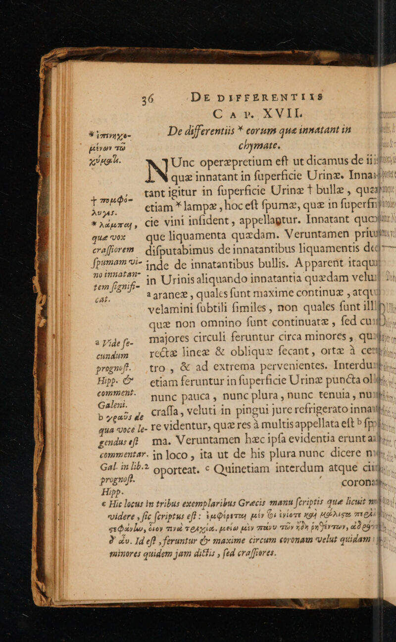 Car. XVIL Vide De differentiis * corum que innatant in pron à chymate. xóHorh. Unc operzpretium eft ut dicamus de iii? quz innatant in fuperhicie Urinz. Innaifittt radi: CURIAE 36 fuperficie Urinz t bullz , queafur Aer etiam * lampz , hoc eft fpumz, quz in fuperfrjin X Adgozef, CIC vini infident , appellagtur. Inpatant quof quevex — que liquamepta quzdam. Veruntamen priv crafforem | d(putabimus de innatantibus liquamentis d«d— fpumam vi- xpde de innatantibus bullis. Apparent itaquy n0tnunatam- . LSU : . : i in Urinis aliquando innatantia quzdam vehuj 2i tem fignifr- ; : cat. a aranez , quales funt maxime continuz , atqui velamini fubtili fimiles, non quales funt illl) quz non omnino funt continuatz , fed cuf) 1i aper. majores circuli feruntur circa minores , quijor. cundum | recte linee &amp; oblique fecant, ortz à ceti, progmf. tro, &amp; ad extrema pervenientes. Interdu:f. Hip. C' — etiam feruntur in fuperficie Urinz puncta ollfi..., Fic nunc pauca, nunc plura, nunc tenuia , nusfis. b Vui: i craffa, veluti 1n pingui jure refrigerato inna d qua «cé Ie- € videntur, qua res à multisappellata eft b fpol: genduseff ma. Veruntamen hzc ipfa evidentia eruntaij;,. commentar. in loco , ita ut de his plura nunc dicere nu; Gal. in lib. oporteat. ^ Quinetiam interdum atque cii. progmfe. ' — coron: Hipp. [ c Hic locus in tribus exemplaribus Grecis manu fcriptis que licuit wo videre , frc [criptus eff : tec Qiprrou otv Gu kyio'TE X24 MD gze TECÁ TA esdavlo, 610) IY T EA QL. pL 6100 R65) TF. FLY 1,0 puer, o o9 hs 2v. ld efl feruntur Ó maxime circum coronam velut quidam b. muinores quidem jam ditiis , fed cra fores.