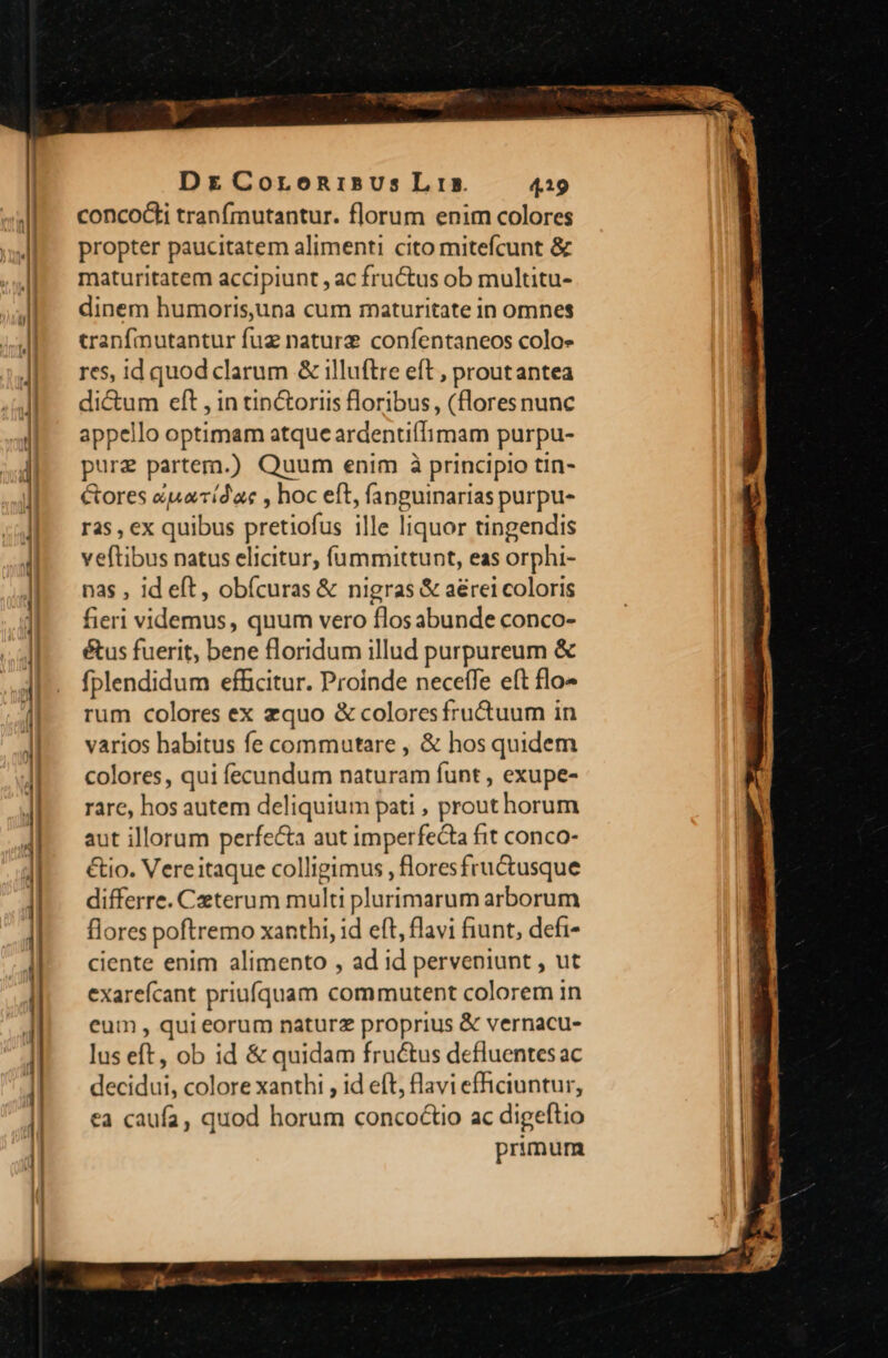 ^ ——— —— ————S ENELLINMENENENMNMCM M MNNENUUEMEENEEMMAMtM- LLL QUeseenm — A — —— — — — Dg CoroenisusLris. 419 conco&amp;i tranfmutantur. florum enim colores propter paucitatem alimenti cito mitefcunt &amp; maturitatem accipiunt , ac fructus ob multitu- dinem humoris,una cum maturitate in omnes cranfmutantur fuz nature confentaneos colo» res, id quod clarum &amp; illuftre eft , proutantea di&amp;um eft , in tin&amp;oriis floribus, (flores nunc appello optimam atque ardentiffimam purpu- pure partem.) Quum enim à principio tin- &amp;ores &amp;uarídae , hoc eft, fanguinarias purpu- ras, ex quibus pretiofus ille liquor tingendis veftibus natus elicitur, íummittunt, eas orphi- nas , id eft, obícuras &amp; nigras &amp; aérei coloris fieri videmus, quum vero flos abunde conco- éus fuerit, bene floridum illud purpureum &amp; fplendidum efficitur. Proinde neceffe eft flo» rum colores ex zquo &amp; coloresfru&amp;uum in varios habitus fe commutare , &amp; hos quidem colores, qui fecundum naturam funt , exupe- rare, hos autem deliquium pati , prout horum aut illorum perfe&amp;a aut imperfecta fit conco- €tio. Vere itaque colligimus , floresfructusque differre. Ceterum multi plurimarum arborum flores poftremo xanthi, id eft, flavi fiunt, defi- ciente enim alimento , ad id perveniunt , ut exarefcant priufquam commutent colorem in eum , qui eorum naturz proprius &amp; vernacu- lus eft, ob id &amp; quidam fructus defluentes ac decidui, colore xanthi , id eft, flavi efficiuntur, ea caufa, quod horum concoctio ac digeftio primum
