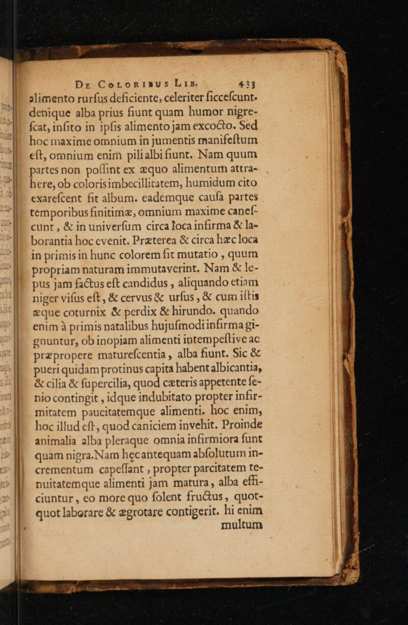 31 24 - - r- NECEM tero scsoncacsmcgn MMC CMM CO  Dr Coronisus Lis. 43 alimento rurfus deficiente, celeriter ficcefcunt. denique alba prius fiunt quam humor nigre- Ícat, infito in 1pfis alimento jam excocto. Sed hoc maxime omnium in jumentis manifeftum eft, omnium enim pilialbifiunt. Nam quum partes non poflint ex equo alimentur attra- here, ob colorisimbecillitatem, humidum cito exarefcent fit album. eademque caufa partes temporibus finitimz, omnium maxime caneí- cunt , &amp; in univerfum circa loca infirma &amp; la- borantia hoc evenit. Preterea &amp; circa hzcloca in primisin hunc colorem fit mutatio , quum propriam naturam immutaverint. Nam &amp; le- pus jam factus eft candidus , aliquando etiam niger vifus eft, &amp; cervus&amp; urfus , &amp; cum iítis eque coturnix &amp; perdix &amp; hirundo. quando enim à primis natalibus hujufmodi infirma gi- gnuntur, ob inopiam alimenti intempeftive ac prepropere maturefcentia , alba fiunt. Sic &amp; pueri quidam protinus capita habent albicantia, &amp; cilia &amp; füpercilia, quod cxteris appetente fe- nio contingit , idque indubitato propter infir- mitatem paucitatemque alimenti. hoc enim, hoc illud eft, quod caniciem invehit. Proinde animalia alba pleraque omnia infirmiora funt quam nigra.Nam hecantequam abfolutum in- crementum capeffant , propter parcitatem te- puitatemque alimenti jam matura, alba effi- ciuntur , eo more quo folent fru&amp;us , quot- quot laborare &amp; egrotare contigerit. hi enim multum