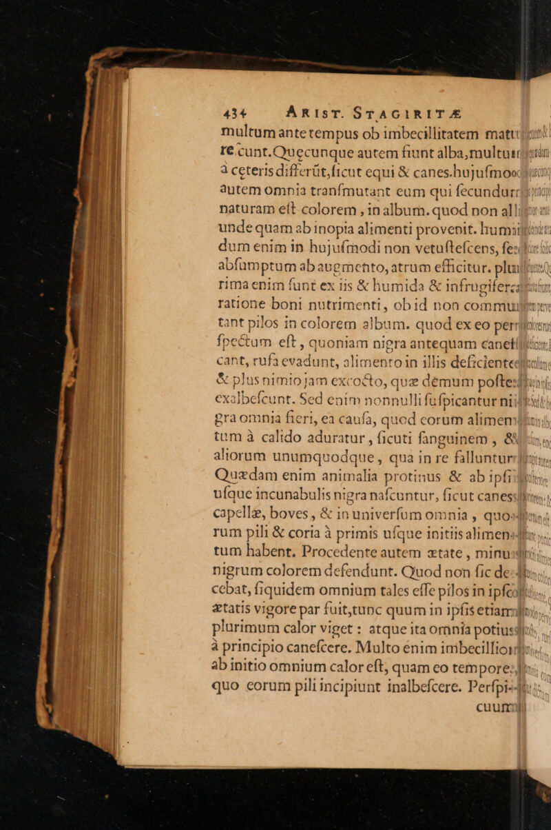 multumantetempus ob imbecillitatem matti r€.cunt.Ouecunque autem fiunt álba,multuisqyiin à ceteris differüt,ficut equi &amp; canes.hujufmoodlia autem omnia tranfmutant eum qui fecundurr naturam eít colorem , in alburh. quod non al; inde quam n ab inopia alimenti provenit. | humo hu enim in itinhee non vetuftefcens, festo abfüumptum ab aue TUPGOU RM rum efficitur. pluit rima enim funt ex iis &amp; humida &amp; infrugifercafpatnt ratione boni nutrimenti, obid non commuullem tant pilos in colorem album. quod ex eo perrlfoen fpectum eft , quoniam nigra antequam eil sr cant MS ne coU alimentoin illis deficientedillu &amp; plus nimio Jam excocto, que demum pofte exalbefcunt. Sed enim nonm ii fufpicantur nii Seth pra omnia fieri, ea caufa, quod corum alimemlfar; tum à calido aduratur , (citi fanguinem , Xn aliorum unumquodque , qua in re falluntur Quzdam enim animalia protinus &amp; ab ipfi ufque NEMEEONS nigra nafcuntur, ficut canes capelle, boves , &amp; in univerfum omnia , quoda ri pili &amp; coria à primts ui qt ue initiis almeno » tum habent. Procedente autem etate , minui; nigrum colorem defendunt. Quod non fic de cebat, fiquidem omnium tales effe pilos in ipfeofta... atatis vigore par fuit,tunc quum in ipfis etiam. lii,... plurimum calor viget : atque ita orünia potius à principio canefcere. Multo énim inibecillioiq): ab initio omnium calor eft; quam co tempore: quo corum pili incipiunt inalbefcere. Perfpi- cuum)