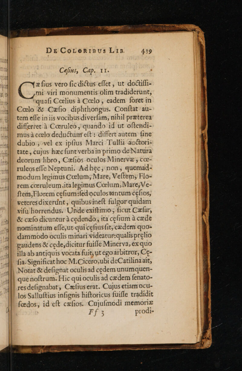 D&amp; CoroninvusLrs Cefrus, Cap. 1t. ius vero ficdi&amp;us effet, ut doiffi- mi viri monumentis olim tradiderunt, quafi Coelius à Coelo ; eadem foret in Colo &amp; Cefíio diphthongus. Conftat 'au- tem effe in iis vocibus diverfam, nihil przeterea differret.à Caeruleó , quando id ut oftendi- musà ccelo deductum eft : differt autem fine dubio ; vel ex ipfius Marci Tullii auctori- tate, cujus hzcfunt verba in primo deNatura deorum libro, Czí10s oculos Minerve ; cce- ruleos effe Neptuni. Ad hec; non, quemad- modum legimus Ccelam; Mare, Vefítem; Flo- rem .cceruleum ita legimus Coelum; Mare; Ve- ftem,Florem cefium:fed oculostantum cefios, veteres dixerdnt , quibusineft fulgor quidam vifu horrendus. Unde exiftimo; ficut Cafar; &amp; czfo dicuntur à cedendo; ita ccfium à cede nominatum efle,ut qui cefius fit; cedem quo- dammodo oculis minari videatur:qualis prelio gaudens &amp; cede;dicitur fuiffe Minerva, ex quo illa ab antiquis vocata fuit, ut egoarbitror, Cc- fia. Sigaificat hoc M. Cicero;ubi deCatilina ait, Notat &amp; defignat oculisad cedem unumquen- que noftrum. Hic qui oculis ad cedem fenato- resdefignabat, Cefius erat. Cujus etiam ocu- los Salluftius infignis hiftoricus fuiffe tradidit foedos, id eft cxfios. :Cujufmodi memori Ff : prodi-