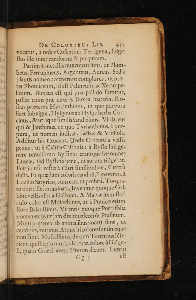 D&amp; Coron:isBUus Lrz. 4$5 vocatur , à nobis Cofentinis T'errigena , fulget flos ille inter candorem &amp; pu rpuram. Partim à metallis nuncupati funt, ut Plum- beus, Ferrugineus , Argenteus , Aureus. Sedà plantis nomen a accep 'erunt com] plures, ut pra- ter Phceniceum, id eft Pilaieun. ac Xerampe- linum. Buxeus eft qui pro pallido fumitur, pallet enim prz cxteris Buxea materia. R.o- feus preterea Hyac inthinus, in quo purpura licet fubnigra, ,Hy (pinus ab Hyfge he 'ba Coc- ; cinus, &amp; utrique fimilis Sandicinus. Violaceus qui &amp; Janthinus, ex quo Tyrianthinus, € pur- pura, ut nomen indicat, factus &amp; Viol iola. A dditur his Croceus. Unde Crocotula veftis genus , ut à Caltha Calthula: à Byflo lini ge- nere tenuiffimo Byffina: erantqtie he omnes Lutez, fed Dyfl ina pene , utaurut n fulgebat Fuit in ufu veftis à Citri finrilitudine, Citro (a di&amp;a. Et quedam coloris cand didi,Papaverata à Lucilio Satyrico, cum eam ut probrü. T orqua- to objeci flet,nominata. Invenitur quoque Gal bina veftisalba à Galbano. A Ma lvritem flof culo color eft Molochinus, ut à Punicz etiam alauftinus. Virentis quoque Porri folia nomen ex fe,ut jam diximusfecerüt Prafinum. ulti preterea ab animalibus vocati funt , ut cervinus,murinus.Atque hicolores funtin equo notiflimi. Muftellinus, de quo Terentius Ite- ricus,quiR egio morbo laborat;colore àGaleu- li; quam Grzct avem Icteron dicunt. Luteus