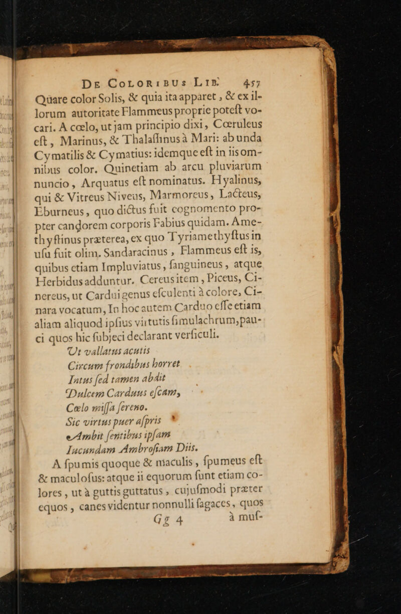 Dg Coron:BUs LIB&amp; — 4; Qaare color Solis, &amp; quia ita apparet , &amp; ex il- lorum autoritate Flammeus proprie poteft vo- cari. A coelo, ut jam principio dixi, Ceeruleus eft, Marinus, &amp; Thalafhinusà Mari: abunda Cy matilis &amp; Cy matius: idemque eft in iisom- nibus color. Quinetiam ab arcu pluviarum nuncio , Arquatus eft nominatus. Hyalinus, qui &amp; Vitreus Niveus, Marmoreus, Lacteus, Éburneus, quo di&amp;us fuit cognomento pro- pter candorem corporis Fabius quidam. Ame- thyftinus przterea, ex quo Tyriamethyftusin ufa fuit olim. Sandaracinus , Flammeus eft is, * - quibus ctiam Impluviatus , fanguineus , atque Herbidus adduntur. Cereusitem , Piceus, Ci- pereus, ut Cardui genus efculenti à colore, Ci- nara vocatum, In hoc autem Carduo cffe etiam aliam aliquod ipfius virtutis fimulachrum,pau- 1 L| ci quos hic fubjeci declarant verficuli Ut vallatus acutis Circum frondibus borret Iatus fed tamen abáit (Dulcem Carduus e[cant, Celo mi[[a fereno. Sic virtus puer a[pris eA nbit [entibus ip[am Iucundam Ambrofiam Diis. A fpu mis quoque &amp; niaculis , (pu meus eft &amp; maculofus: atque ii equorum funt etiam Co- lores , ut à guttis guttatus , cujufmodi prater equos , canes videntur nonnulli fagaces , quos