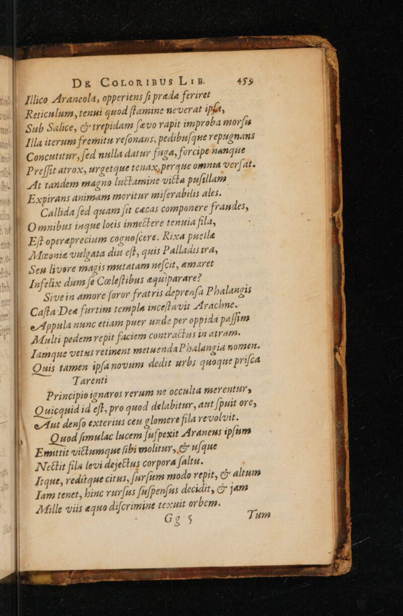 E! Ed D&amp;g Coronisus L:5. Illico Arancola, opperiens fi prada feriret Reticulum tenni quod [Lamine neverat ippa Sub Salice, cy trepidam [vo rapit improba mor[a IL Illa iterum fremitu refonaus, pedibu[que repugnans Concutitur, fed nulla datur faga, forcipe nanque Pre[fit AlTOX, MY getque tenax,perque omnta ver[at. IE LAt randemo magno luétamine vitla pufillam Expirans animam moruur miferabilis ales. Callida fed quam [it cacas componere frandes, E OO sanibus inque locis annectere tenuia fila, | Efl opereprecium cogno[cere. Rixa pucile Muaonie vulgata din e[t, quis Palladis sra, Sen lyyore magis mutatam ne[cit, amaret Infelix dum [e Celeflibus equiparare: Sivein amore faror fratris depren(a Pbalangis Caffa Dea furtim templa inceflavir 4 rachne. e/Appula nunc etiam puer unde per oppida pa[f/rm AMalti pedem yepit faciem contraclas in atram. Jamque vetus vetinent metuendaP balangia nomen. Quis tamen ipfanovmm dedit urbs quoque prifca Tarenti Principio navos vevum ae occulta merentttry | Ouicquid id efl, pro quod delabitur, aut [puit ore; eut den[o exterius ceu glomere fila vevolvit. li Quod fimulac lucem [u[pexit Avanens ip[um Emittit vitlumque libi molitur, t u[que |. ANetit fila levi dejellus corpora falta. | — Jue, reditque citus, [nr [um modo vepit, c altum Tam tenet, binc vuv[us fufpen[ns decidit, cj 44m Mille viis equo difcrimine text orbem. G?5 7 um &amp;