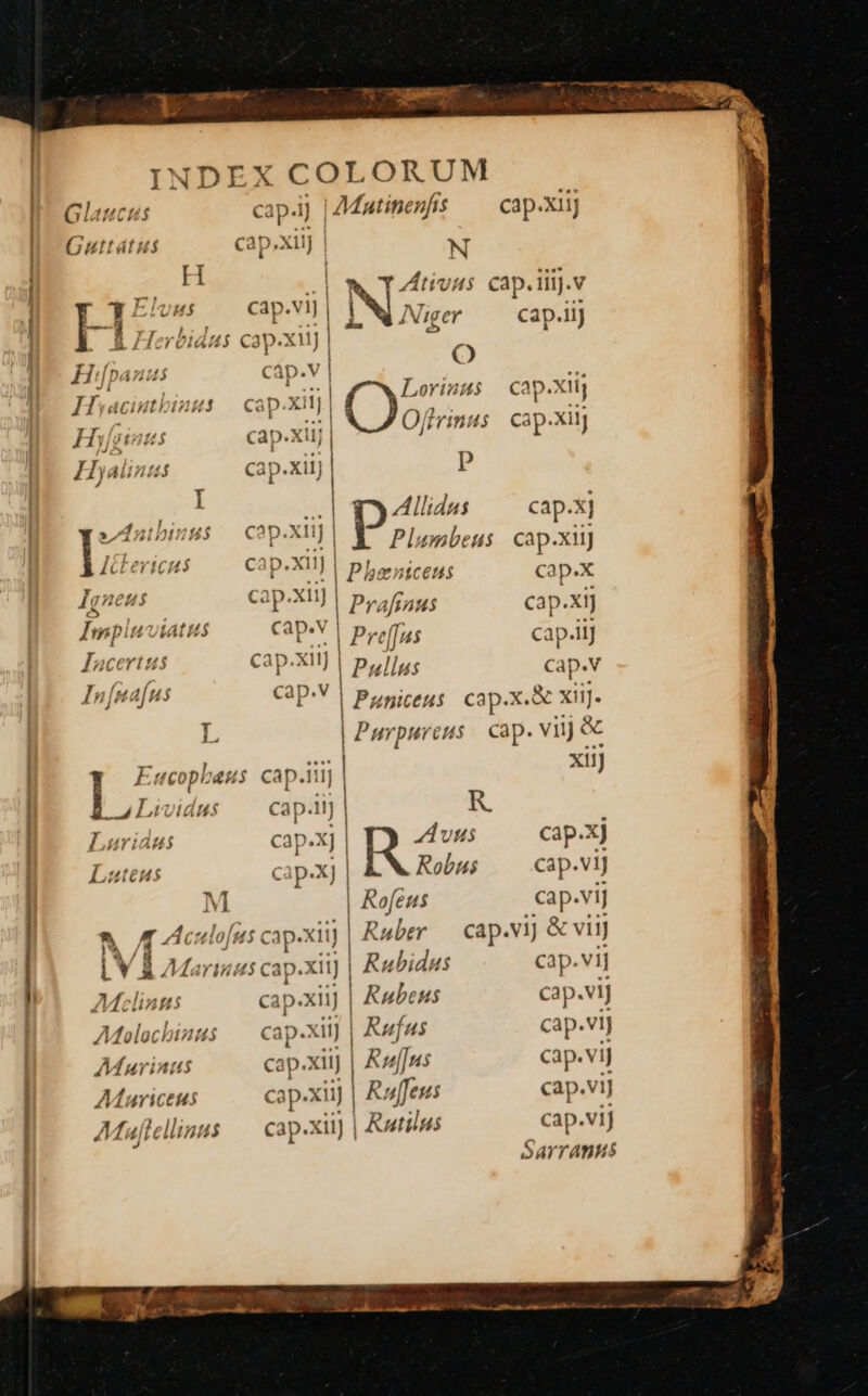 zx S EE INDEX COLORUM Sarramus Glaucus cap-1) | Matinenfts cap.xii] | Guttátus cap. xiij | N ! Ea H à T4Ádtivaus cap.iiij.v j rH uds vij | NDA cap.1iJ À Herbidus cap.xii] | Ó Háípauus Ccap.V | zio; MEE Hhiaciutbiui — cap. xiij | | ITIN I j Hy[piaus cap.XI  | Offrinus cap. xiij Hyalinus cap.xilj | p Y | in t Te: .| Allidns cap. xj I E RS j |. Plambens e xiij noon cap.Xi ! | Pheniceus cap.X ner capAxii | Prafenus cap. Xi] Implu Jut Hs CaP-V | profs cap.ii Inc rius cap.XitJ | Paullus Cap.v MjMAJNS ep | Puniceus cap.x.&amp; xiij. L | Purpureus Cap. viij &amp; | E «cop en cap.iii] | XII) 225 LUILAMS Cap. R | Luridus cap.X] | Avus e. HE Luteus cap-X] | Robus —— cap.vij M | Rofeus cap.vij | ^. [49 cap. xii j Ruber cap. V] &amp; vilj LV &amp; Marinus cap.xtt] | Rubidus cap.vi] i Mclinns cip: xii | Rubeus cap.vij | AMolocbinus esp. xiij | Rufus cap.vi] AMurinus cap. xiij Ru[[us cap.vij AMuriceus cap.xii] | Raffeus cap.viJ | Máuflellinas dd xii] | Rutilus cap.Vv1]