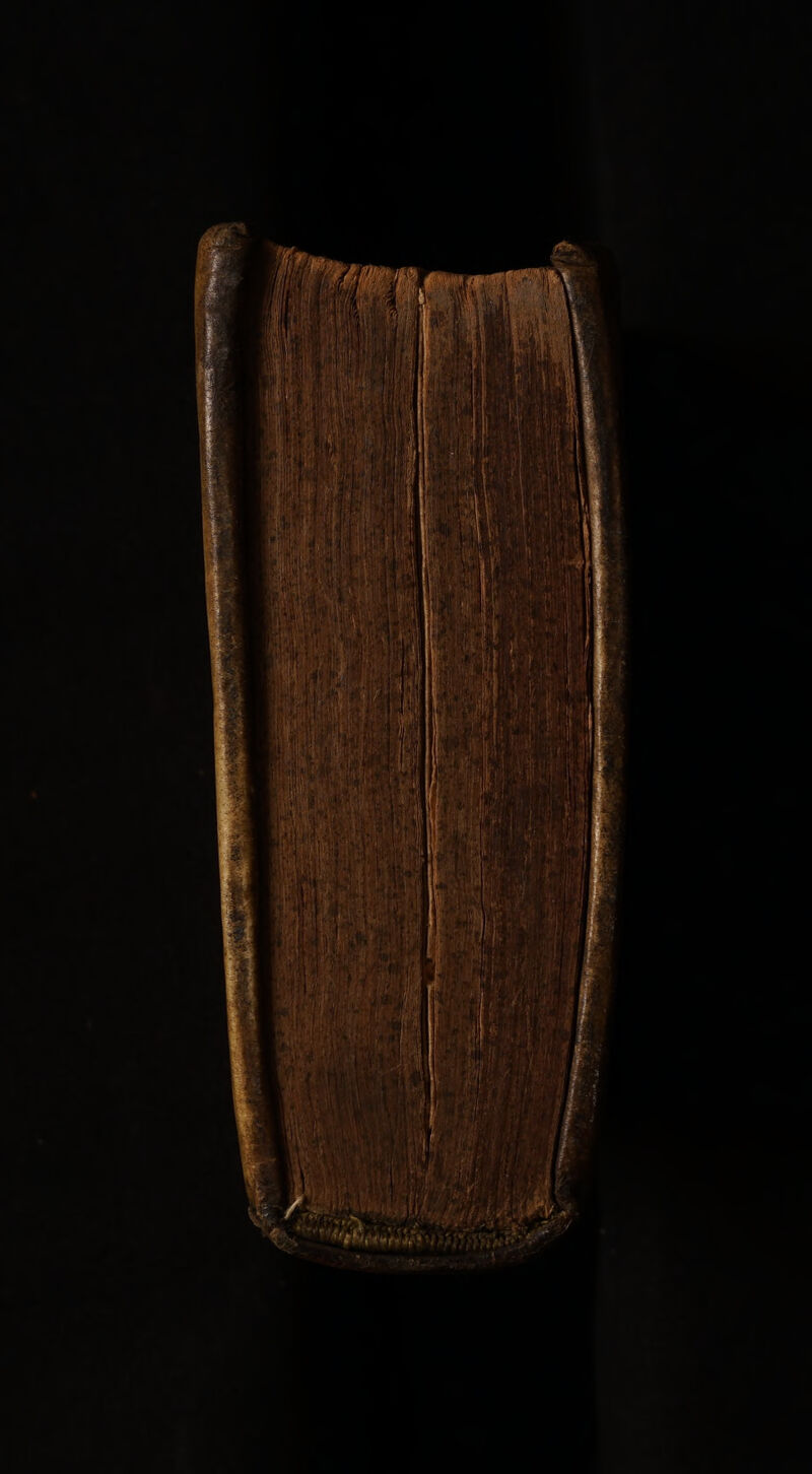 No text description is available for this image