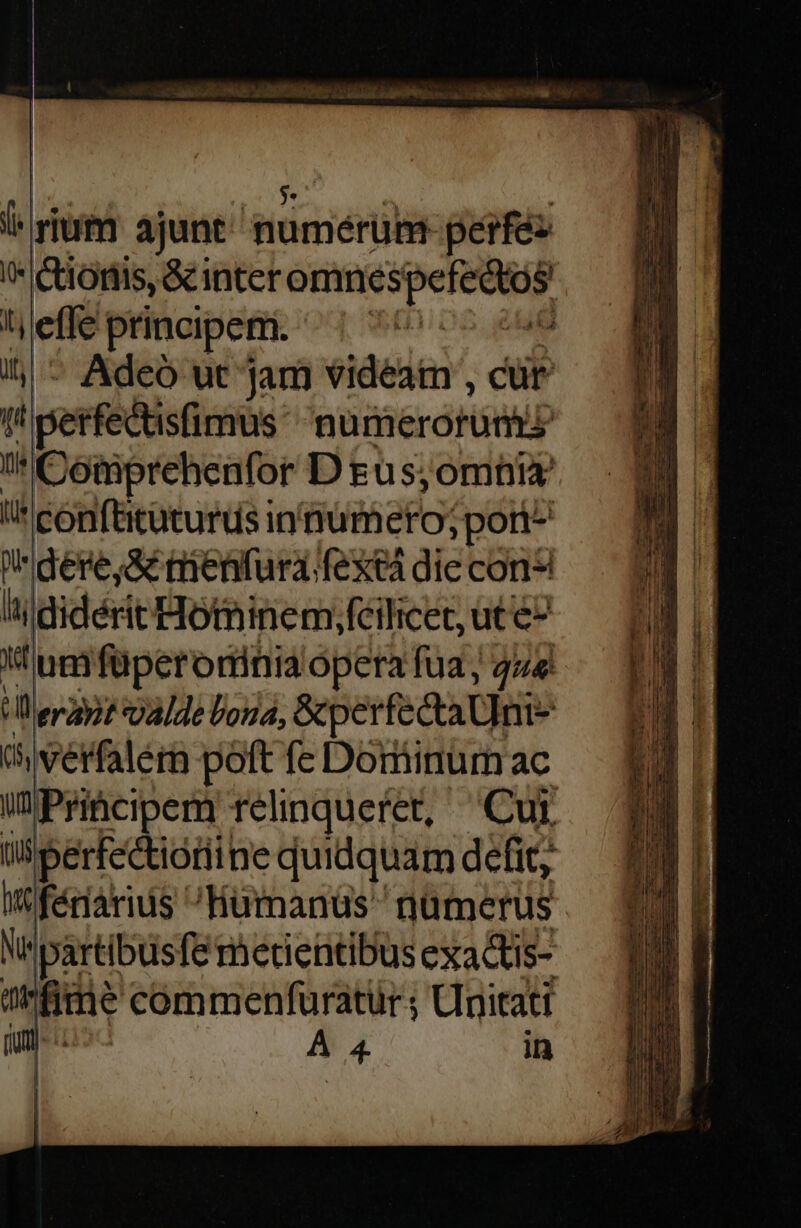 i rium ajunt numérütm perfez ' Cionis, &amp;inter omnespefedos effe principem. ^| 70 - i| ^ Adeó ut jam videam , cür (n petfedtisfimus. numerorum? 0 Comprehenfor D gus;omnia i! conftitüturds intiumeto; ;port- dere,ac menfura fextà die cons hi didérit Hotninem fcilicet, ut e- xt um füperoniniaoópera fua, 444 Llerapjé [de Lord, &amp;perfectaUni- (verfaléem poft fe Dominum ac WPrhcipem relinqueret, Cui ilperfectioriine quidquam defit, WW fénárius Humanuüs nümerus orfime commenfuratur; Unitatt
