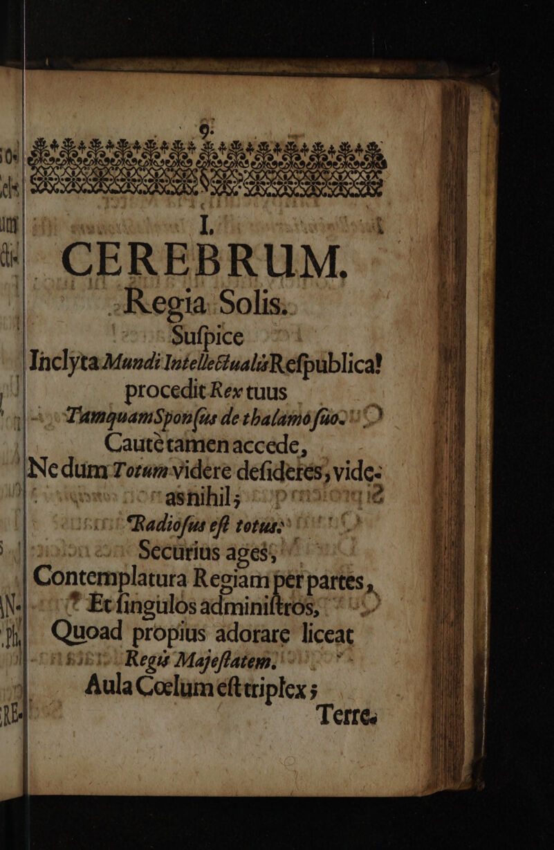NÉ L | t CEREBRUM,. . Regia. Solis. Sufpice Inclyta Mundi lutelle&amp;iualisRefpublica? | | procedit Rex tuus E. abe TamquaniSpon (us de tbalamó fos: C | Cautétamenaccede, IN edum Torum videre defidetes »vide: | 'ashihil; :cprnsiotg ie | oniotRadiofus eft tetur 007711 2co0o cs Securiüs ages; ^ | Contemplatara Regiam per partes ,. N * Ecfingülos adminilttos, | Quoad propius adorare liceat ob 1^ c Regis Majefflatem. Aula Coclumefttriplex ; Terre