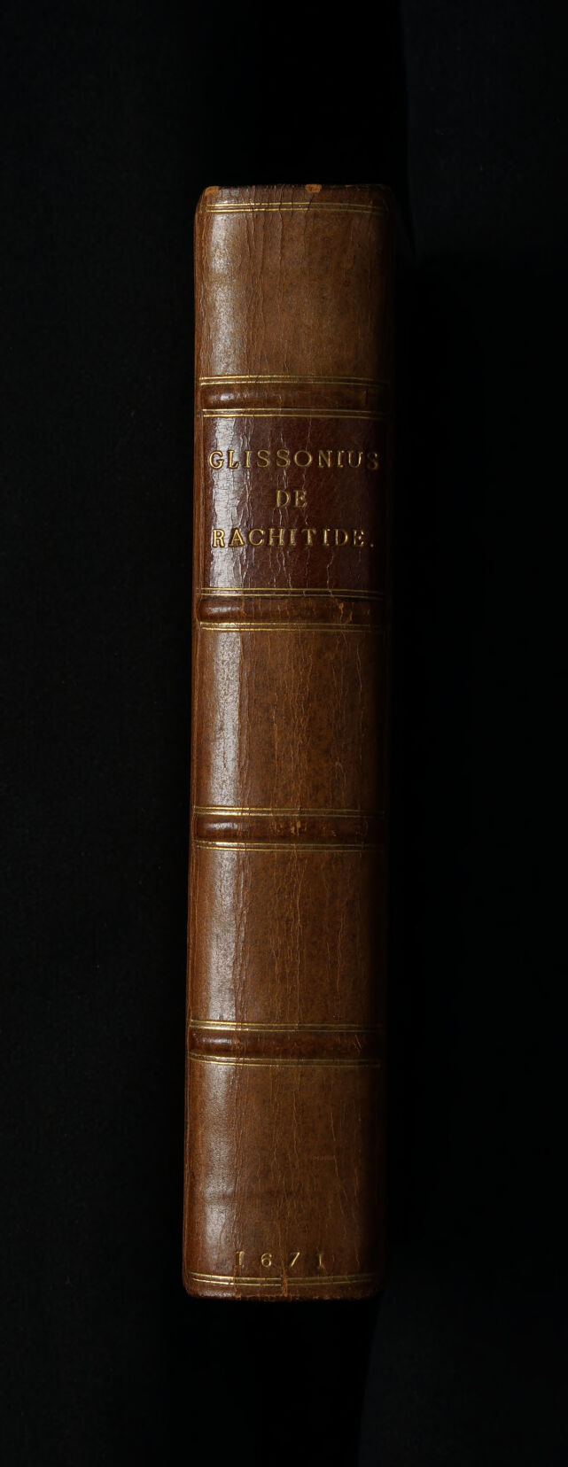 No text description is available for this image