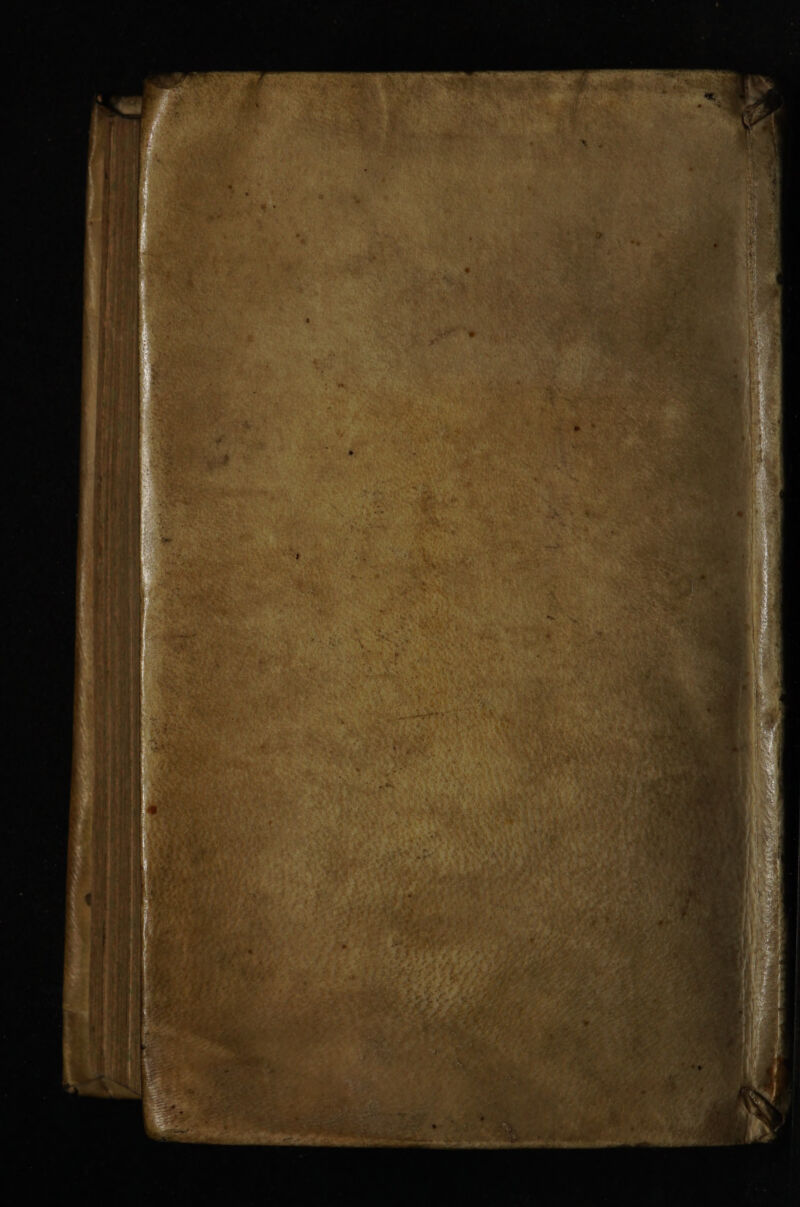 : Au mW NUNC 4 LR A mp prm