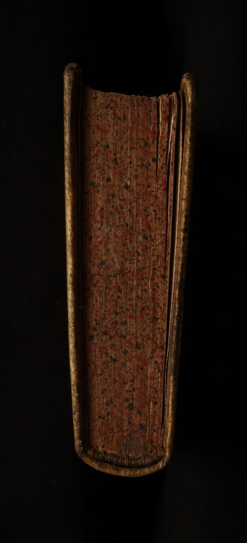 No text description is available for this image