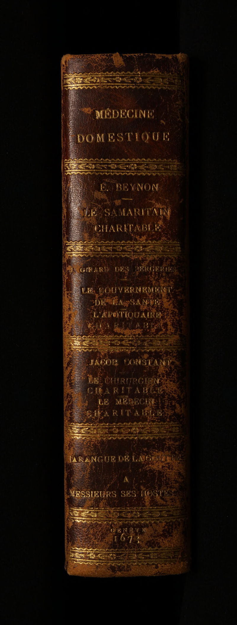 No text description is available for this image