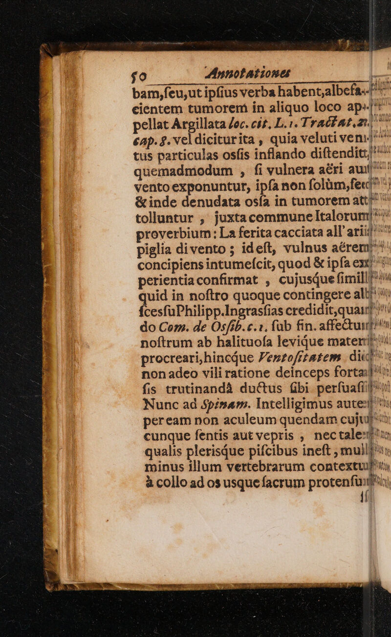 bam,feu,ut ipfius verba habent;albefa--^. cientem tumorem in aliquo loco apt pellat Argillata Zec. cz. L. i. Traéf A£,21, 77 €ap. $. vel diciturita , quia veluti vem4^ tus particulas osfis inflando diftenditt/ ^ quemadmodum , fi vulnera a&amp;ri au^ vento exponuntur, ipfa non folüm;fe«^ &amp; inde denudata osía in tumorem att? * tolluntur , juxtacemmune Italorum! proverbium; La ferita cacciata all arii] ^ piglia divento ; ideft, vulnus acrem: concipiens intumefícit, quod &amp; ipfa ext! perientiaconfirmat , cujusque fimill|*!^ quid in noftro quoque contingere all? i! fÍcesfüPhilipp.Ingrasfias credidit,quaiq] /! do Cezz. de Osffb. c.1, fab fin. affectuum noftrum ab halituofa levidue materi procreari,hincque Pezzofftatem | dii non adeo vili ratione deinceps forta:li: fis trutinandá du&amp;tus bi perfuafíil Nunc ad spisam. Intelligimus aute: peream non aculeum quendam cujut cunque fentis aut vepris , nectaleu qualis plerisque pifcibus ineft ; muilj': minus illum vertebrarum contextuJ'ij à collo ad os usque facrum protenfüit) (ít