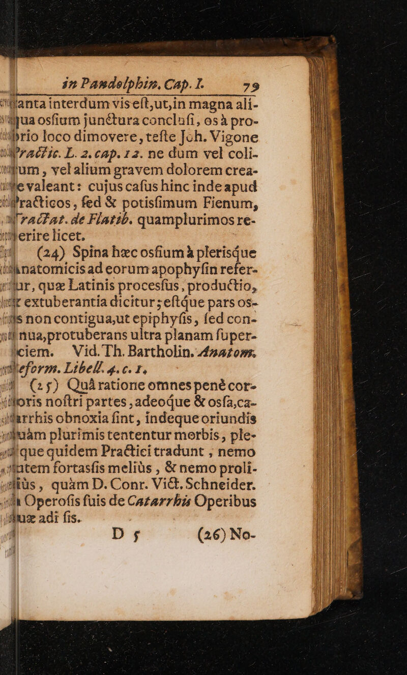 anta interdum viselt;ut,in magna ali- i$yua osfium juné&amp;tura conclafi, osà pro- «brio loco dimovere, tefte Joh. Vigone rae? ie. L. 2.cap. 12. ne dum vel coli- fum , vel alium gravem dolorem crea- wWevaleant: cujus cafus hinc indeapud lg racticos , fed € potisfimum Fienum, Ma'racZat. de Flatib. quamplurimos re- ''ferire licet. 44 (24) Spina hzcosfiumà plerisque i'l.matomicis ad eorum apophyfin refer- Jur, qus Latinis procesfus, productio, litt extuberantia dicitur; eftdue pars os- lids non contigua;ut epiphyfis, fed con- »4 nua;protuberans ultra planam fuüper- jciem. — Vid. Th. Bartholin. 4z4£o»s. mileforzn. Ltbe£. 4. c. 1, JH (25) Quàratione omnespenécor- (foris noftri partes , adeoque &amp; osfa,ca- qa rrhis obnoxia fint, indeque oriundis yulfàm plurimis tententur morbis , ple- 4l que quidem Practicitradunt , nemo 4fatem fortasfis meliüs , &amp; nemo proli- jidiüs, quam D. Conr. Vidt. Schneider. b] ilt Operofis fuis de Cazarrbis Operibus .Jifiu2e adi fis. J 1 D (26) No- d