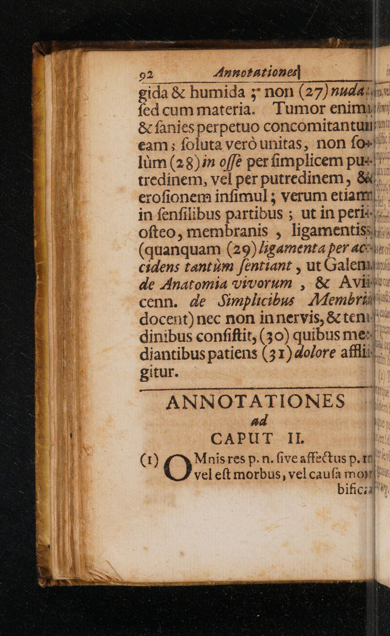 fj Del ee ; 92 Anmotationes| gida &amp; humida y non (27) nudauio: fed cum materia. Tumor enimuli &amp; fanies perpetuo concomitantuli eam: foluta veróunitas, non fo! ]üm (28)in offé perfimplicem pus tredinem, vel per putredinem , 8i; erofionem infimul ; verum etiam. in fenfilibus partibus ; ut in peris. Ofteo, membranis , ligamentiss;; (quanquam (29) Jjeamenta per acoi«: cidens tantiim fentiant , ut Galemuni de Anatomia vivorum ,.-&amp; Avi cenn. de JSimplicibus Membri docent) nec non in nervis, &amp; tenu ^^ dinibus confiftit, (30) quibus mes diantibus patiens (21) dolore afflii! gitur. — | ANNOTATIONES | Ad ' CAPUT IL | (1) Mnisres p.n. five affectus p.trj veleft morbus, vel caufa moy]? bificia t