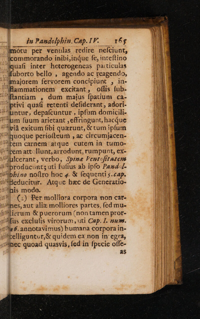 ] , motu per venulas redire nefciunt, . icommorando inibi,ináue fe, inteftino , quafi inter heterogeneas paiticulas ;Muborto bello , agendo ac reagendo, , majorem fervorem concipiunt , in- T fHammationem exciant, ofílis fub. ,,Mantiam , dum majus fpatium ca- ,ptivi i quafi retenti defiderant , adori- Juptur, depafcuntur , ipfam domicili- m Ium füum arietant ,effringunt, hacque /iyià exicum fibi quxrunt, &amp; tum ipfum ipaoque perioíteum , ac circumjacen- vpem carnem atque cutem in tumo- Irem att: Hunt, arrodunt, rumpunt, ex- ^lülcerant, verbo, Spzme Fenrefitazems que il rodac ints ati fufius ab ipfo Pas4-Z- Wh ino no(lro hoc «. € fequenti 5. cap. d educitur. Atque hxc de Generatio- his modo. J Wt (;) Pér molliora corpora non cat- s^ihes, aut alix molliores partes, fed mu- Aierum &amp; dressed! (nontamen pror- das exclulis virorum, uti Cap. I. nume. (0e f. annotavimus) Bund corpora in- ui Welliguntur,&amp; quidem ea non in'egra, | nec quoad quasvis, fed in fpecie otfe- as