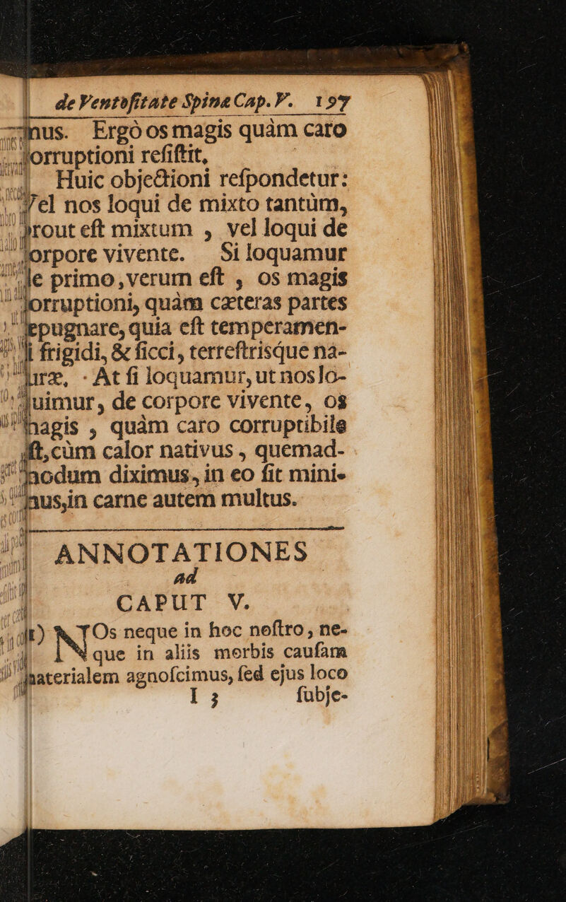 —]nus. Ergóosmagis quàm caro ;,.Sorruptioni refiftit, | ^4 Huic objedioni refpondetur: ;,q €l nos loqui de mixto tantum, , Jrout eft mixtum , vel loqui de porpore vivente. — Si loquamur Je primo ,verum eft , os magis ,jorruptioni, quàm carteras partes ; jepugnare, quia eft temperamen- i i frigidi, &amp; ficci, terreftrisque na- ure, - At fi loquamur, ut noslo- ^ uimur, de corpore vivente, os /imagis , quàm caro corruptibile . ft, cüm calor nativus , quemad- nodum diximus, in eo fit mini- /^us,in carne autem multus.  nd ANNOTATIONE?  4 | i CAPUT V. 1519 Os neque in hoc neftro, ne- ad N aue in aliis merbis caufam  jnaterialem agnofcimus, fed ejus loco  I 5 fabje-