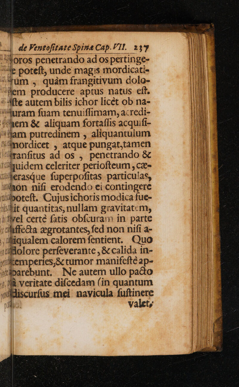 —] deFentofitate Spina Cap.VII. 233 *oros penetrando adospertinge- Ule poteft, unde magis mordicati- dum ., quàmírangiivum dolo- Mem producere aptus natus eit. ! Ate autem bilis ichor licet ob na- Aram fuam tenuiffimam, acredi- fem &amp; aliquam fortaffis acquifi- lam putredinem , aliquantuium WÜwordicet , atque pungat,tamen lümanfitus ad os , penetrando &amp; !'lyuidem celeriter periofteum , cae JUerasque fuperpofitas particu!as, ii/lhon nifi erodendo ei contingere udboteft. Cujus ichoris modica fue- iit quantitas, nullam gravitatem, iiflyel certé fatis obfcura: in. parte ;aliffe&amp;a zegrotantes, fed non nifi a- , iiqualem calorem fentient. Quo 0üfftolore perfeverante , &amp; calida in- yiitemperies,&amp; tumor manifefté ap- wübarebunt, INe autem ullo pado ll veritate difcedam (in quantum iscurfus tei. navicula fuftinere valet,