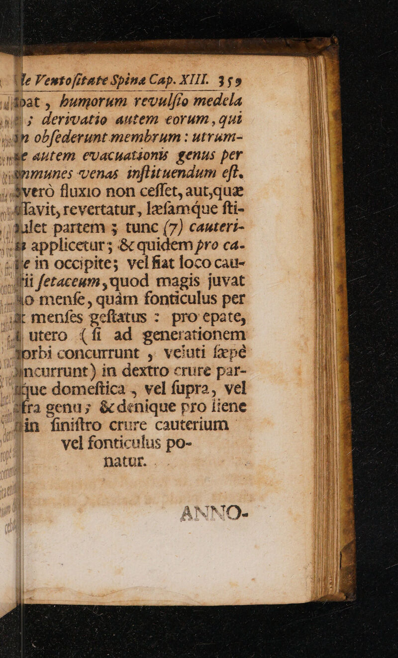 jSpat , bumorum vevulfto medela aifs derrvatie autem eorum ,qut (um obfederunt membrum : utram- Be autem CUacuationb genus per viüpmmunes venas inflituendum eft. ;, &amp;vero fluxio non ceflet, aut,qua i Afavit, revertatur, lzefamque fti- ;;Sulet partem 5 tunc (7) cauteri- ,»&amp; applicetur; &amp; quidem fro ca- be in occipites vel fiat loco cau- fii fetaceum ,quod magis juvat ..,80 menfe , quàm fonticulus per Jk menfes geftatus : pro epate, 4 utero (fi ad generationem .Aprbi concurrunt ,. veluti faepe . Aincurrunt) in dextro crure par- ; lue domeftica , vel fupra, vel  Sra genu; &amp; denique pro iiene ' min finiflro crure cauterium - vel fonticulus po- natur. . Ax Y - A R. Ib ')- A34 U LL d s