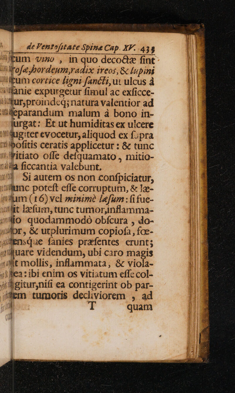 deu —À——————M——ÀÁÉá 4l l427 Wrofee ybordeum radix ireos, &amp; Lupini Qum cortzce figni fancti, ux ulcus à Wmgnie expurgetur fimul ac exficce- ifr, proimdcd; natura valentior ad J&amp;Weparandum malum à bono in- iurgat: Et ut humiditas ex ulcere IWang:ter cvocetur, aliquod ex f;pra it! bofitis ceratis applicetur : &amp; tunc i Aitiato offe defquamato , mitio- 1a ficcantia valebunt, j^ Si autem os non confpiciatur, ulmnc poteft effe corruptum, &amp; Iz- iilum (16) vel minime lefum : fifue- quit Defugmn, tunc tumor,nflamma- ;Mo quodammodo obfcura , do- widbr , &amp; utplurimum copiofa, foe- /^Ensque fanies przfentes erunt; ijuare videndum, ubi caro magis «lt mollis, inflammata, &amp; viola- 41 fea : ibi enim os vitiatum effe col- ji Egiturnifi ea contigerint ob par- jfem tumoris decliviorem , ad | T quam i Am — - BRENT UUES ieu