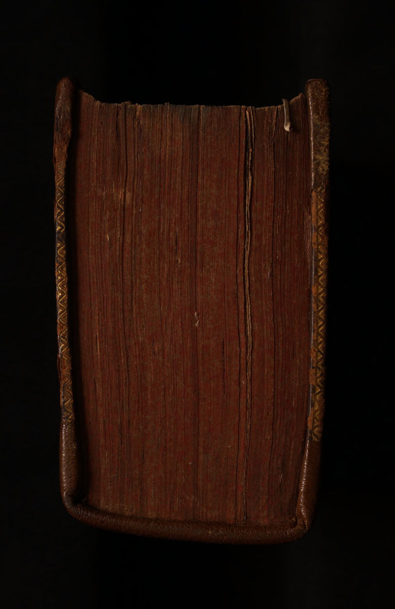 No text description is available for this image