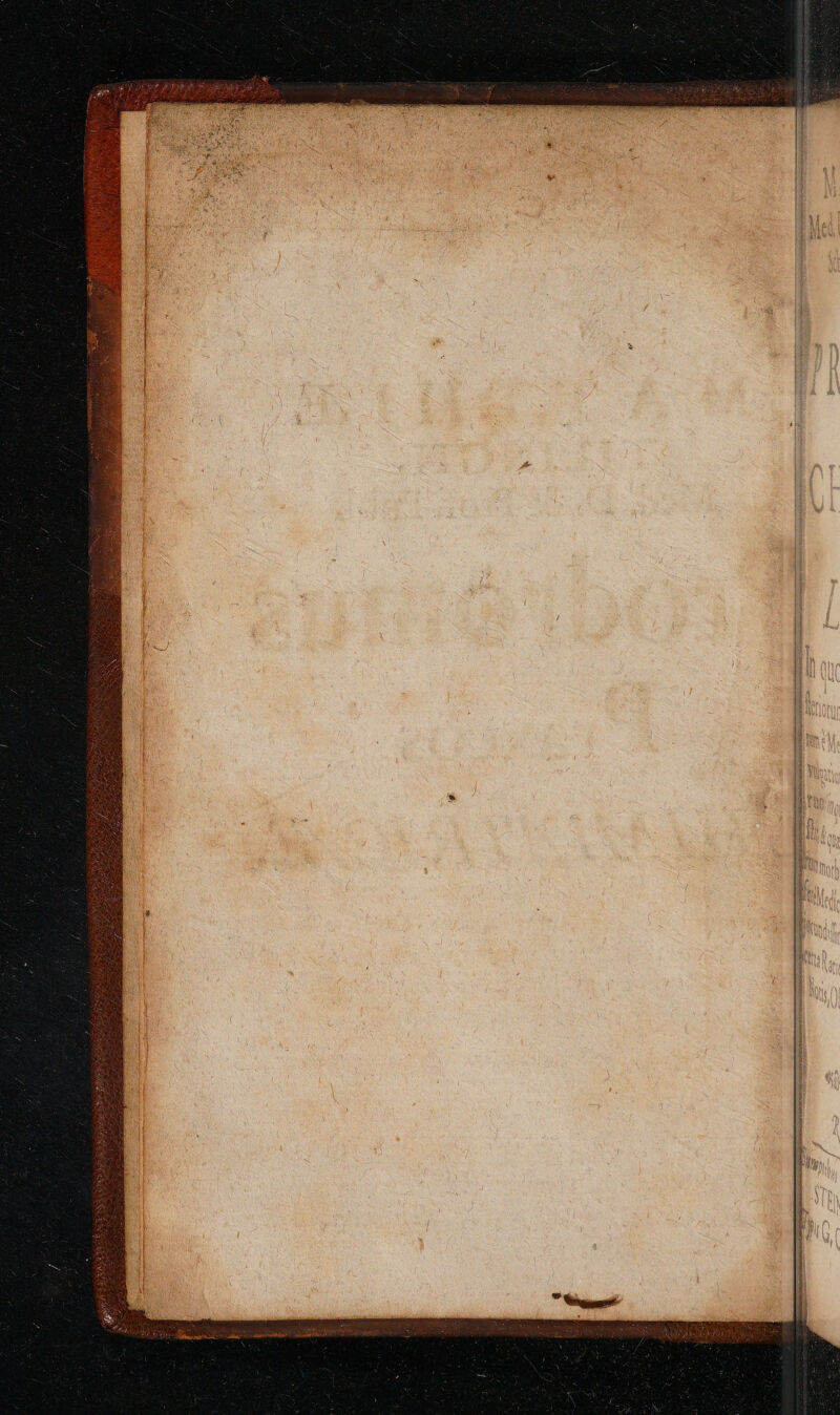 No text description is available for this image