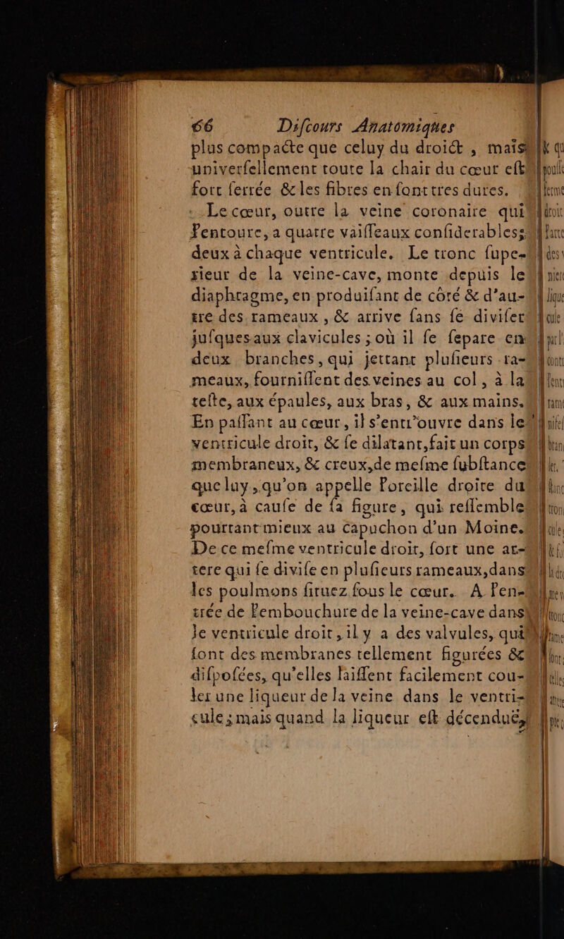 plus compacte que celuy du droiét , maïs univerfellement toute la chair du cœur efk forc ferrée &amp;cles fibres en fonttres dures. Le cœur, outre la veine coronaire qui Fentoure, a quatre vaiffeaux confidcrabless rieur de la veine-cave, monte depuis le diaphragme, en produifant de coré &amp; d’au- tre des rameaux , &amp; arrive fans fé divifec jufquesaux clavicules ; où il fe fepare en deux branches, qui jettant pluñeurs fa= meaux, nd des veines au col, à la tefte, aux épaules, aux bras, &amp; aux mains. En palfant au cœur, il s’entr’ouvre dans ie: ventricule droit, &amp; fe dilatanr,fait un corps membraneux, &amp; creux,de mefme fubftanceml que luy, où on appelle Poreille droite du cœur, à caufe de {a figure, qui reflemble pourtant MIEUX au capuchon d’un Moine. De ce mefme ventricule droit, fort une ar= tere qui fe divife en plufieurs rameaux,dans les poulmons firuez fous le cœur. A Pen- trée de Pembouchure de la veine-cave dans font des membranes tellement figurées &amp; difpofées, qu'elles laifent Code cou- ler une liqueur de la veine dans le ventri= sule ; mais quand la liqueur eft décenduës | | fan 1 brin 1 1e 14